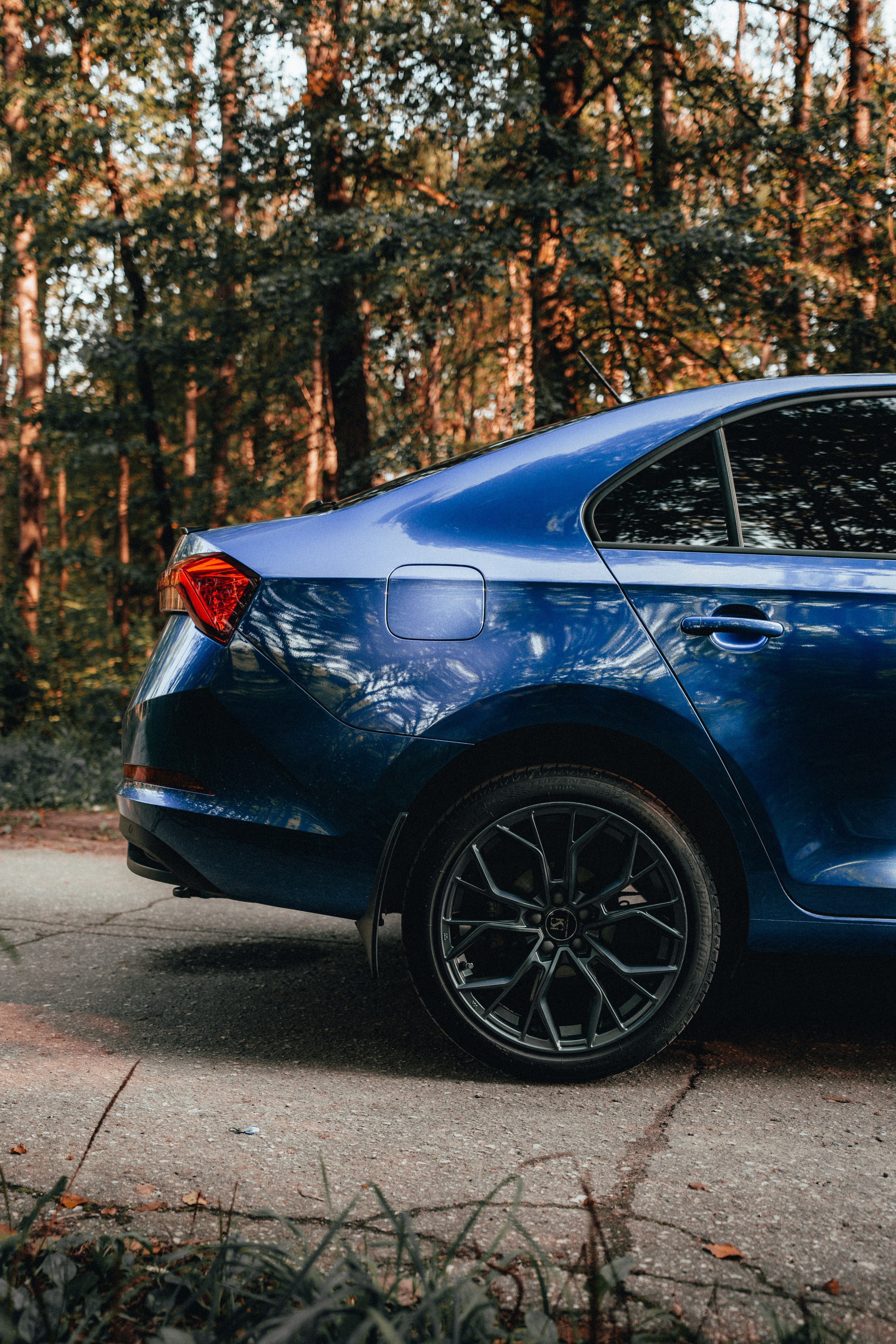 Skoda Rapid Anna. Vlad Trykov