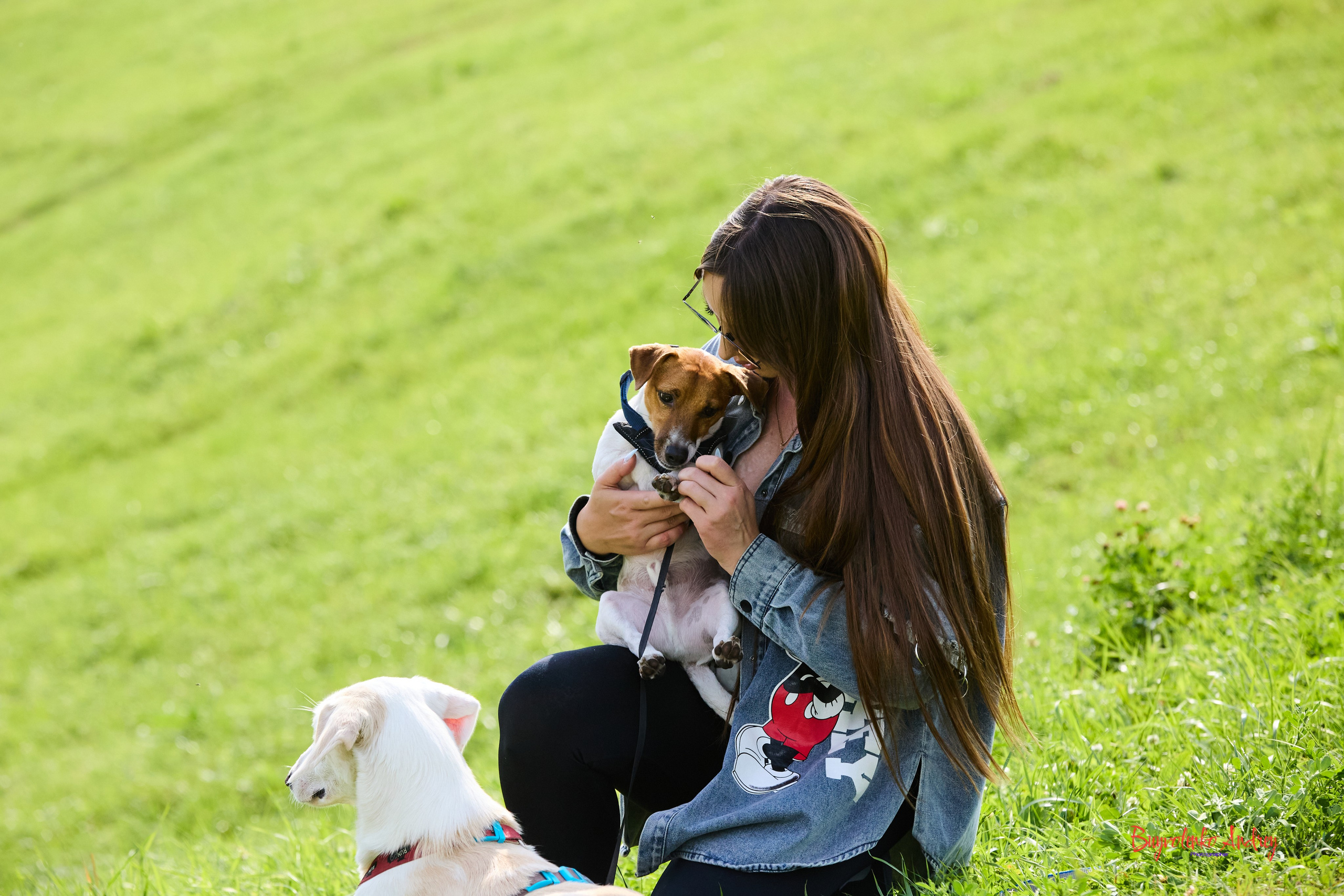 Проект фотопрогулка с хвостиком. Buyvolenko Andrey