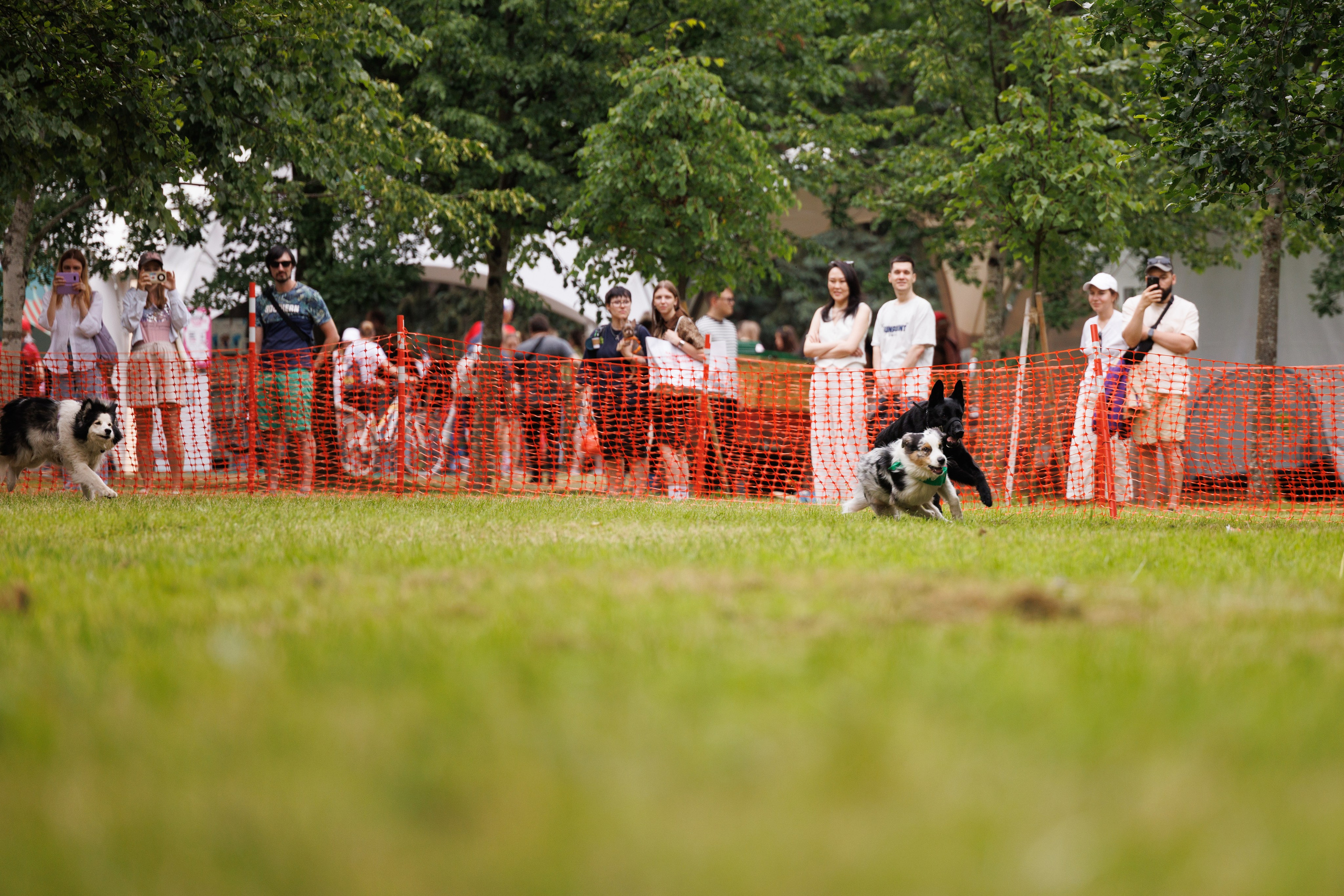 PetShopDays2026. Фотограф Александр Заломаев