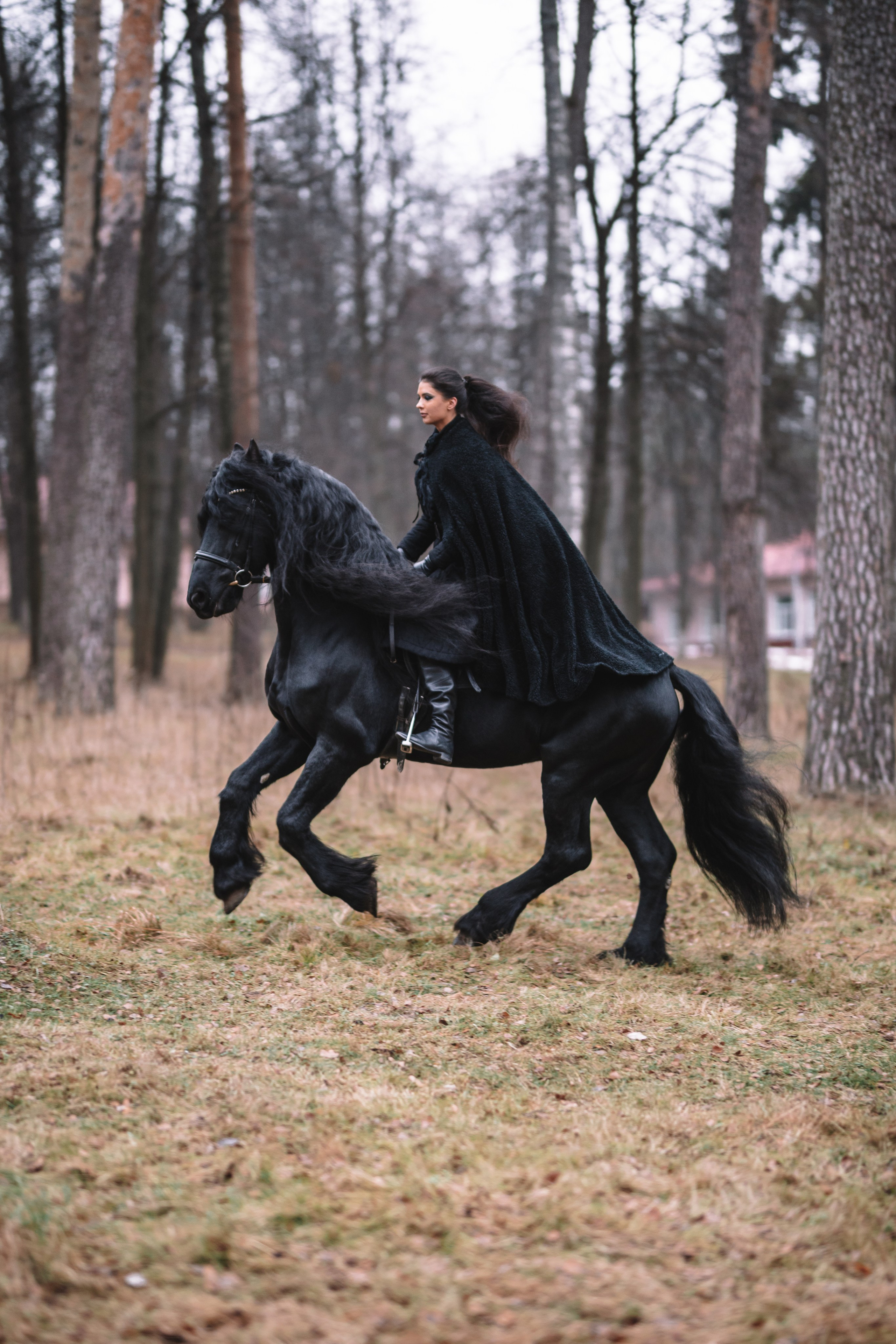 Наташа с фризом в костюме викинга. Фотосессии с лошадьми