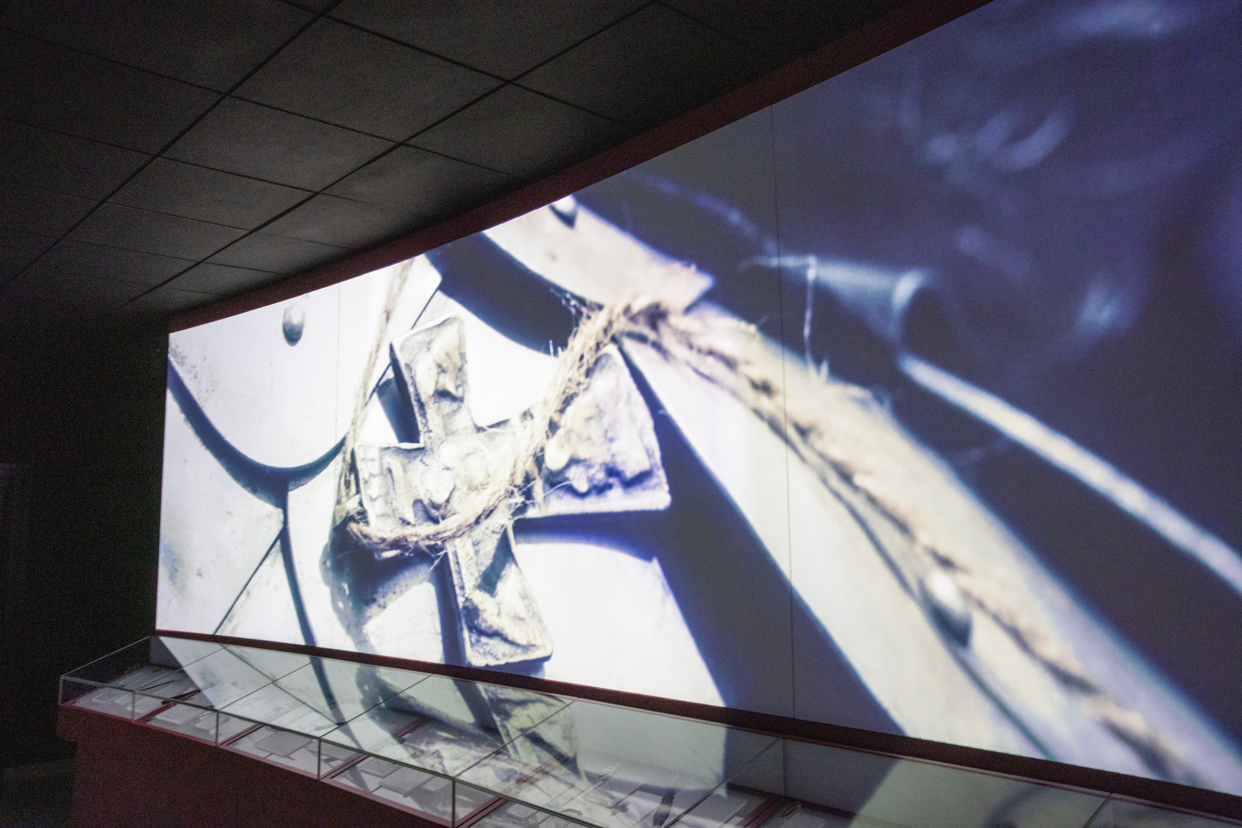 Поездка на поле Кулеково. Фотограф в Туле Крупский АнДРей. Фотостудия «КАДР71» в Туле