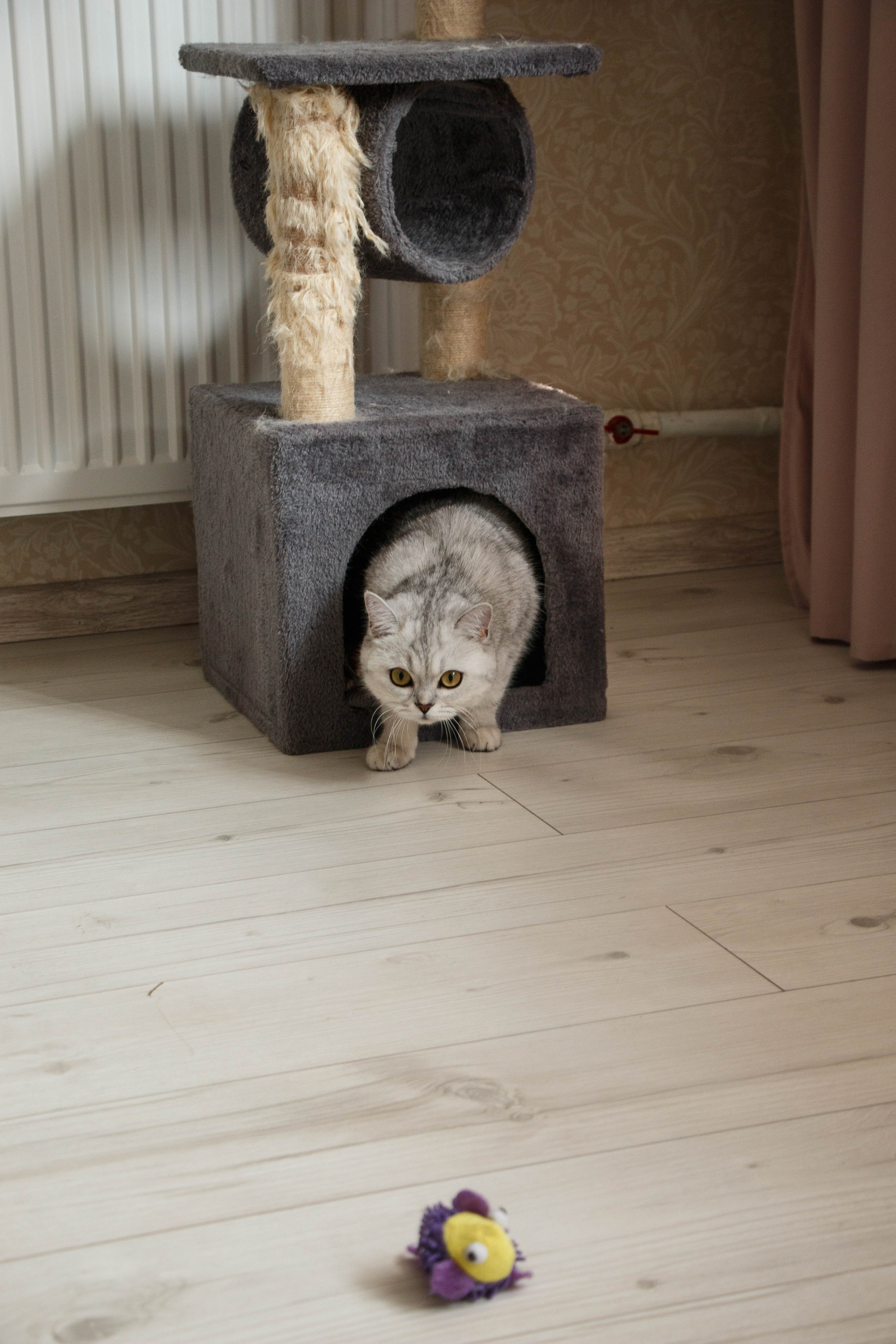 NASTYA & KITTI. Бережно сохраняю ваши чувства и истории на своих фотографиях