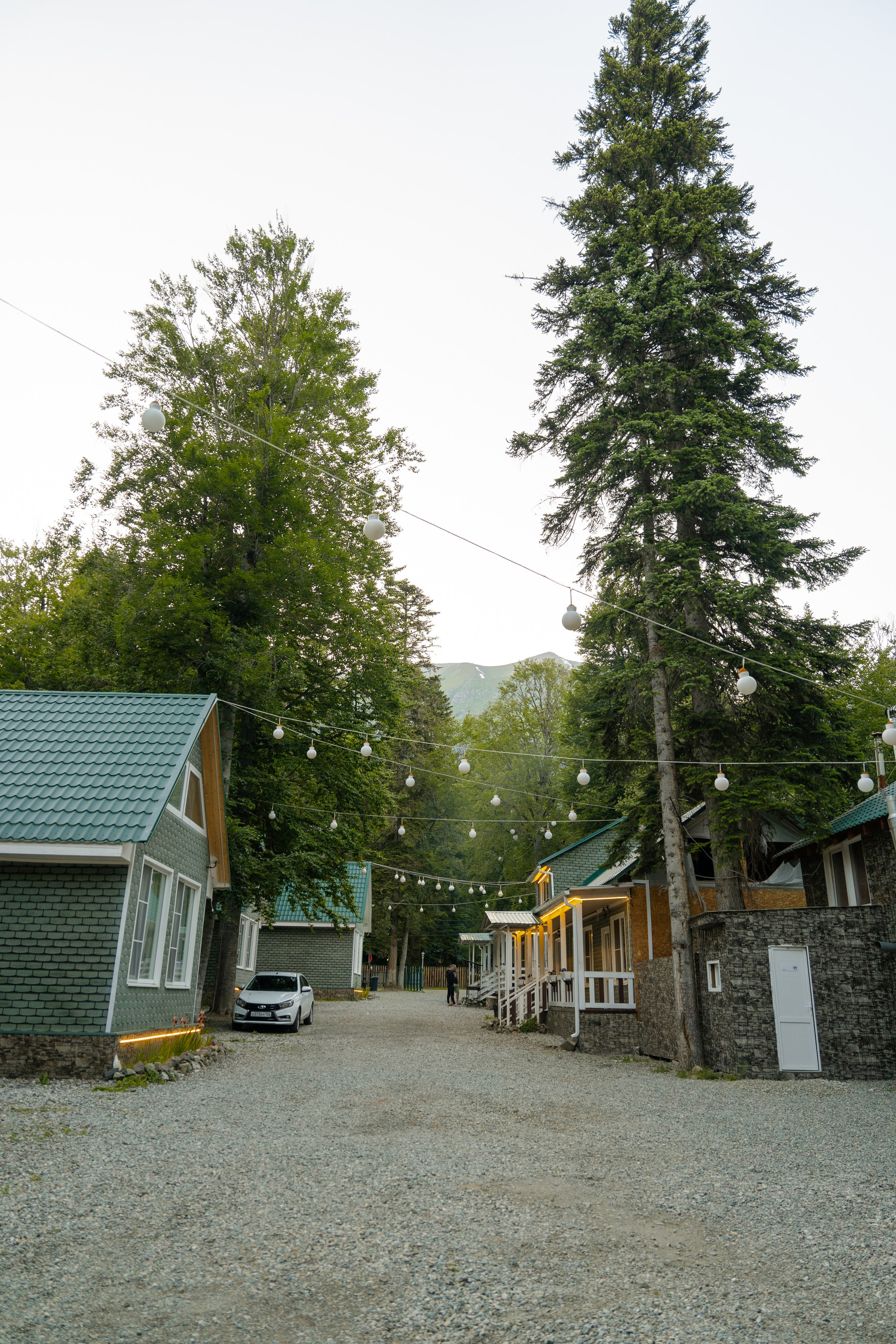 Green Park. Фотограф и видеограф Елена Хмелевская