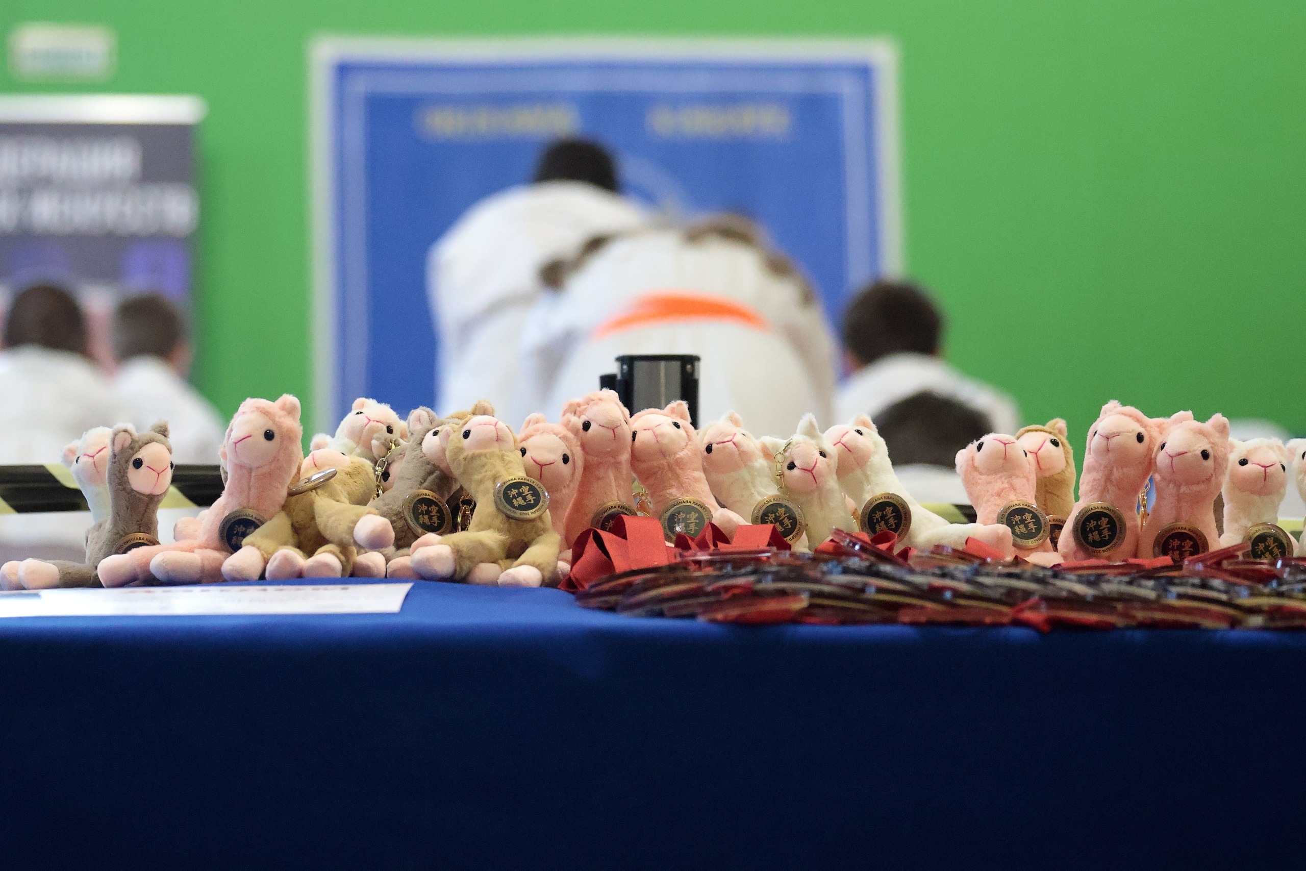 ЧЕМПИОНАТ ПО ОКИНАВА КАРАТЭ (ТЭГУМИ). Спортивный и репортажный фотограф Ермакова Светлана