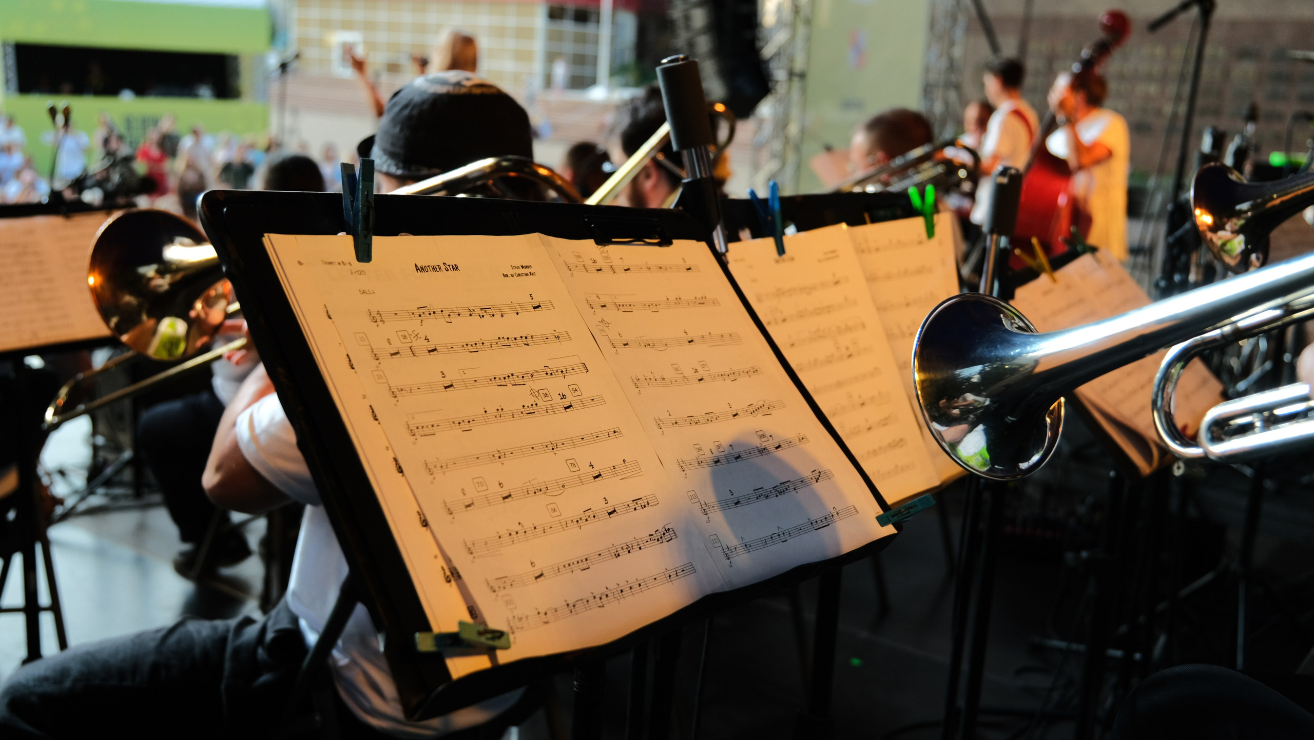 Фестиваль Джаза в Сочи. Фотограф Сочи Евгений Соколов