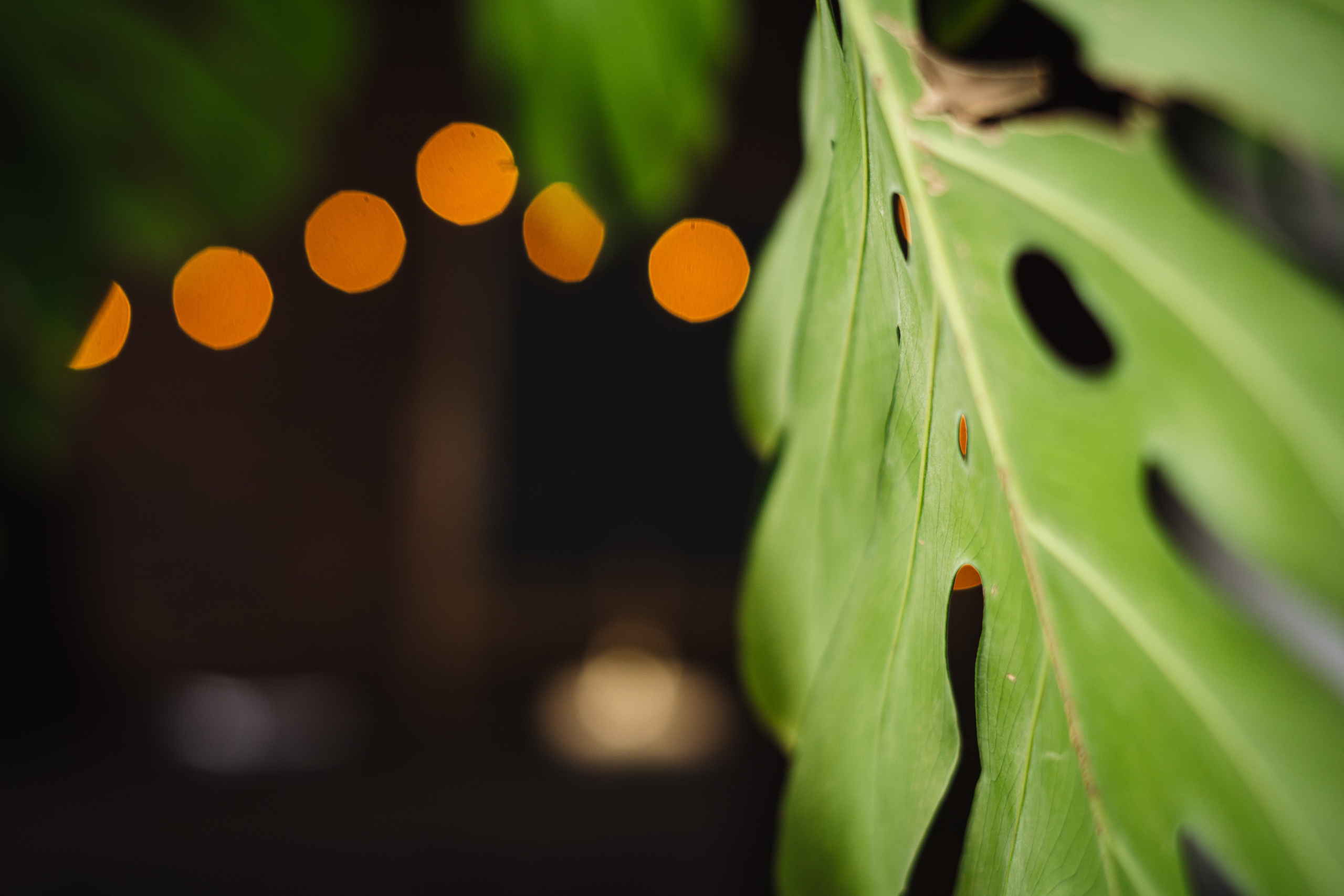 Фотостудия "Импульс" Саратов выпускные альбомы  школьная фотосессия