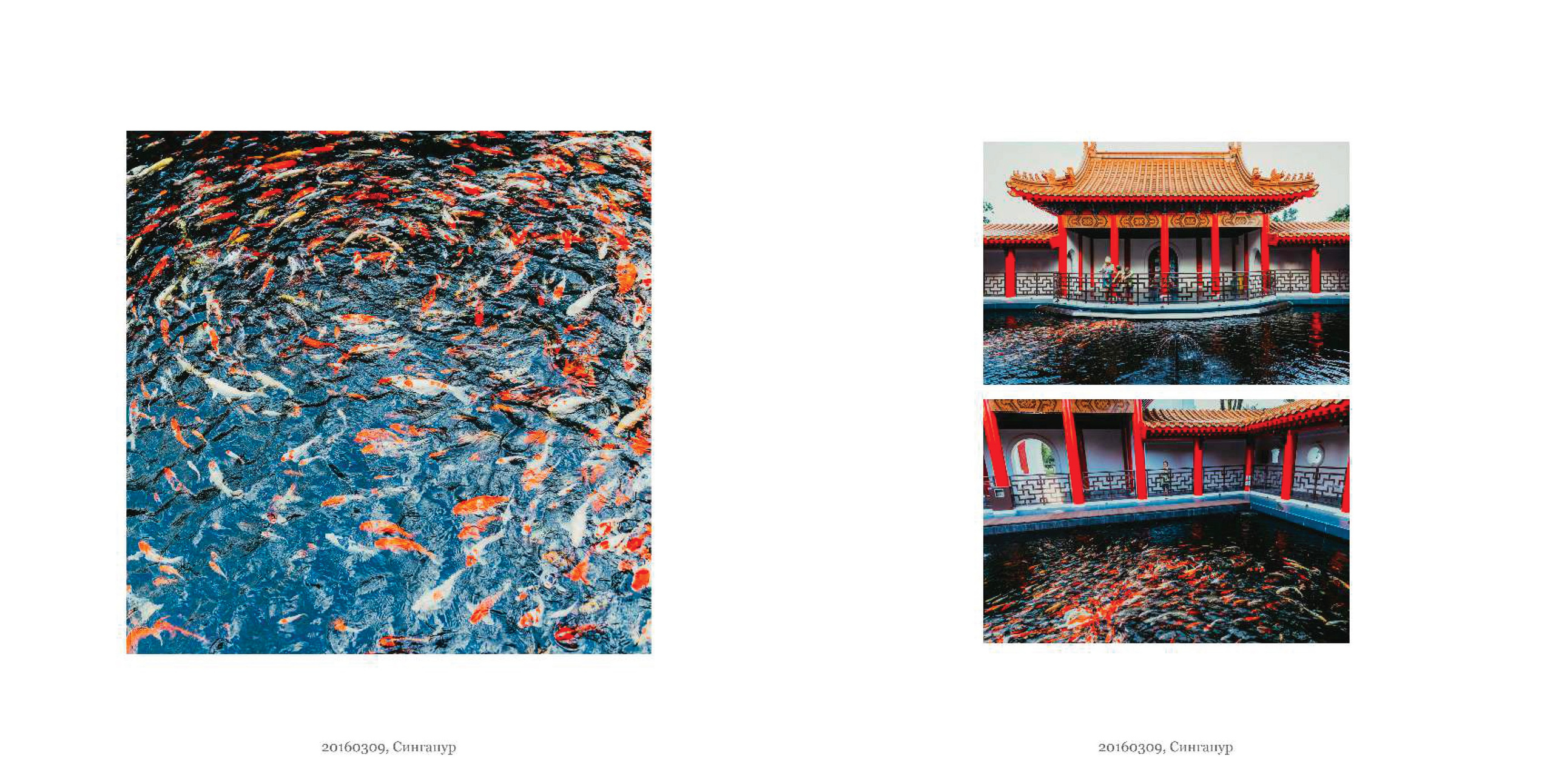 BEST FAMILY BOOK 2017