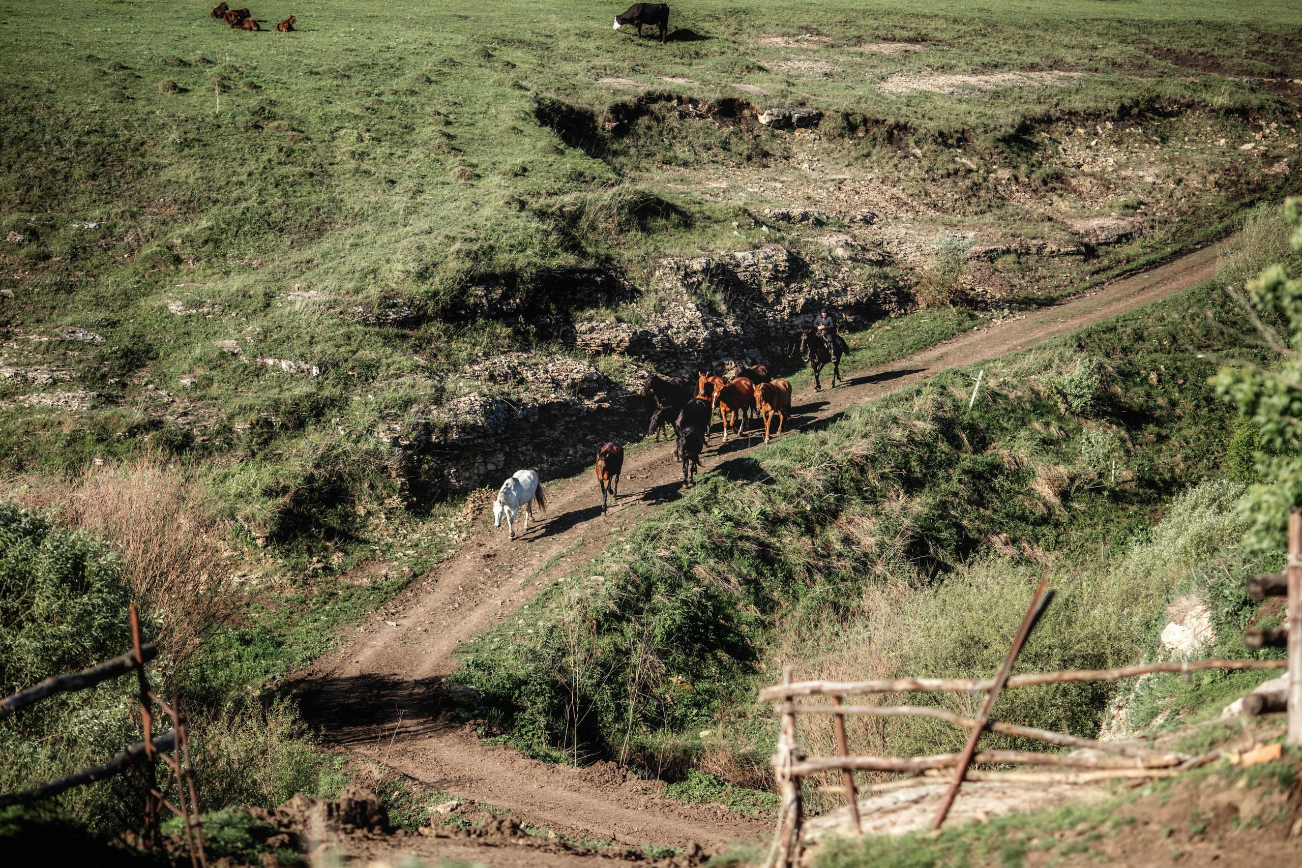 КЧР май'24. BrisArts