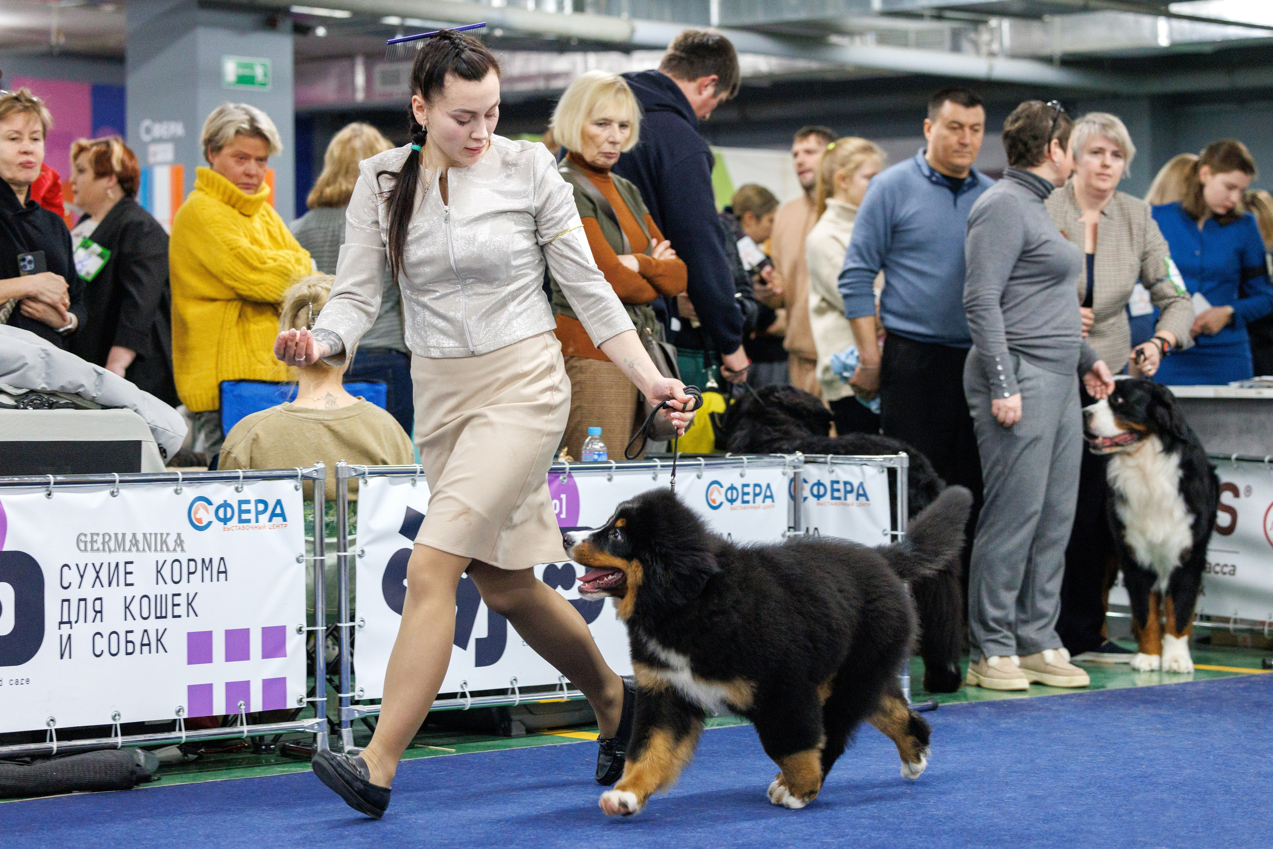 Сфера 28.01. и 4.02.2024. Фотограф-анималист Юлия Германика