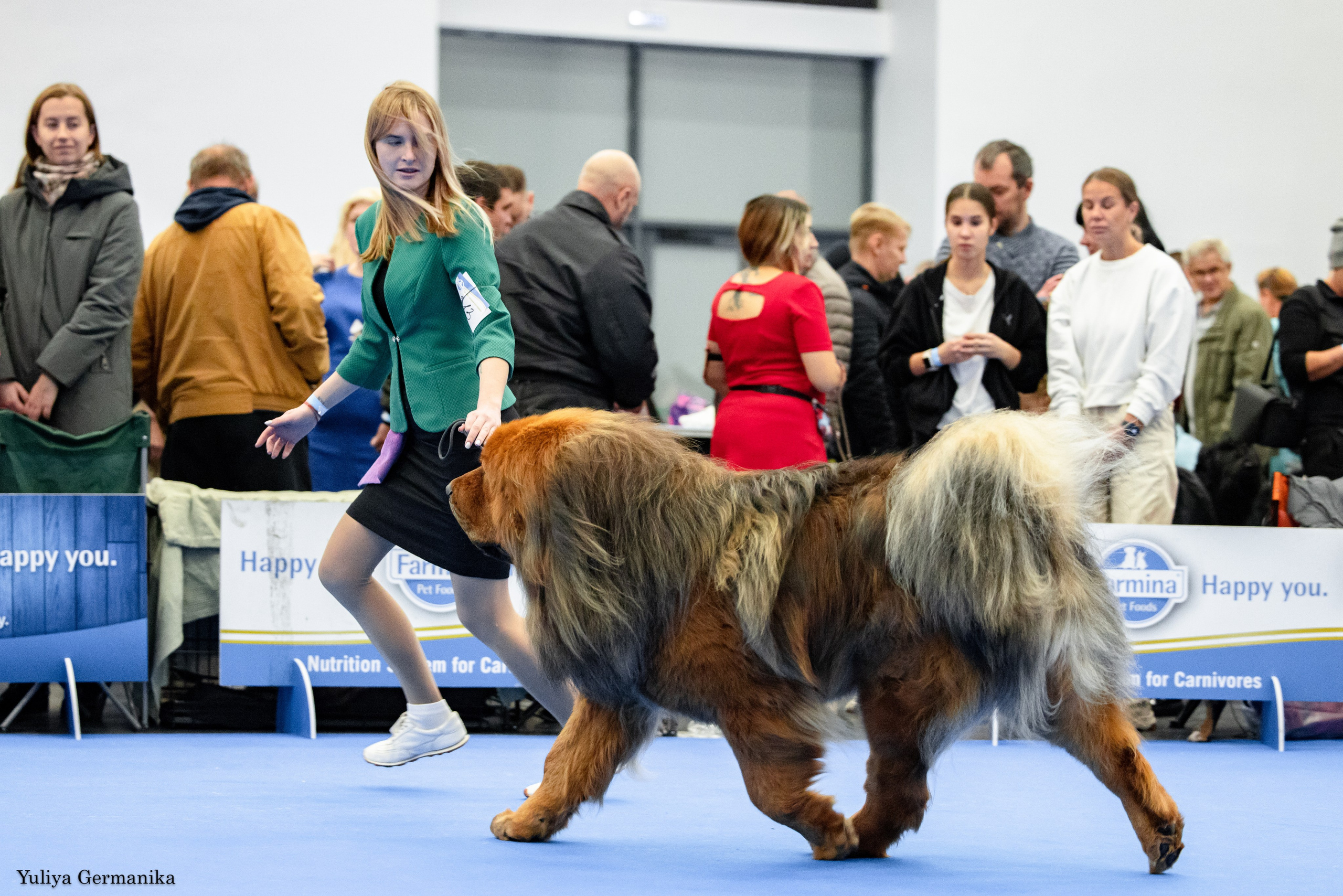 Нижний Новгород 21-22.10.2023. Фотограф-анималист Юлия Германика