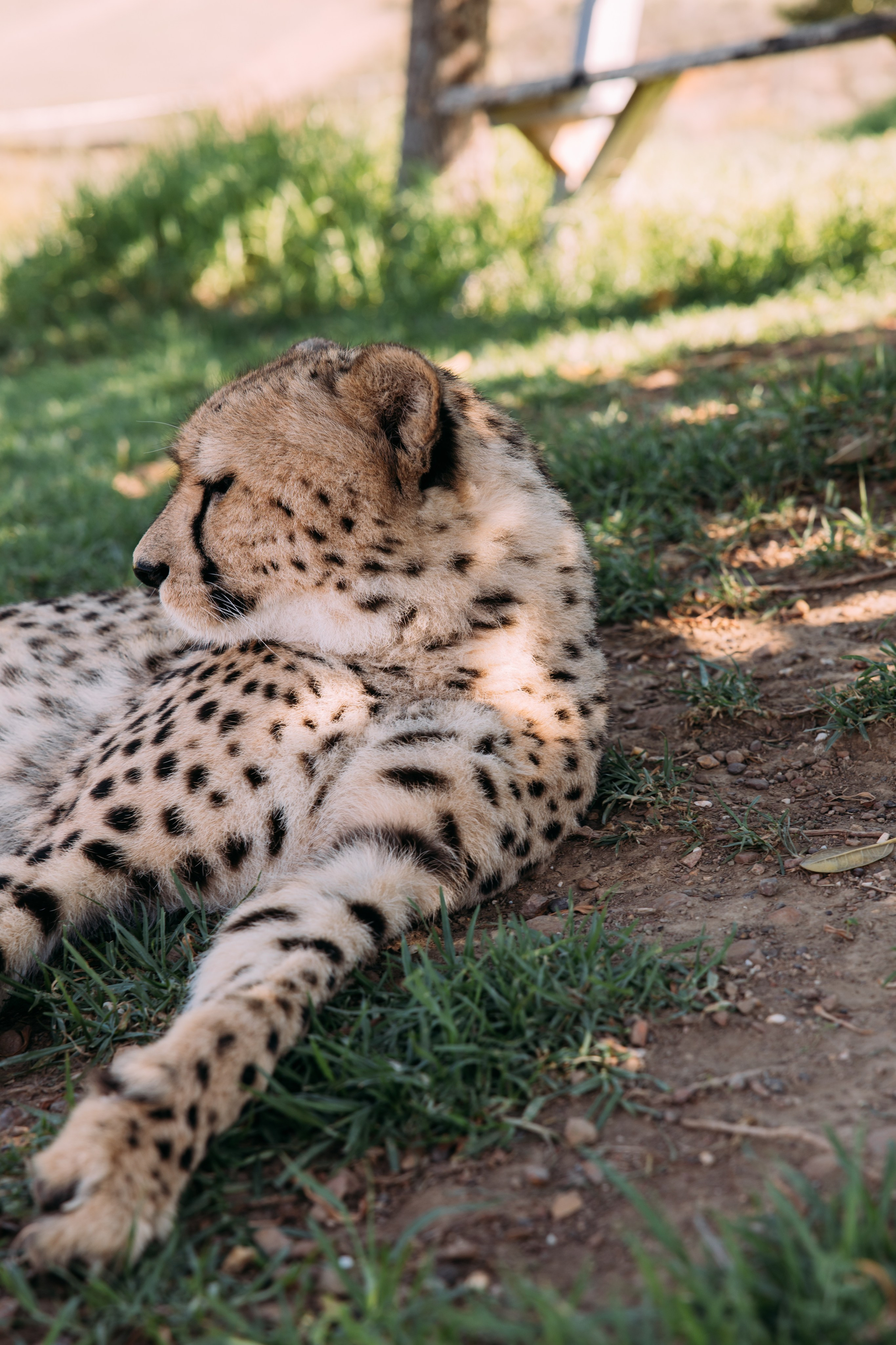 ФОТО ТУРЫ ПО МИРУ. Фотограф Марина Аблаева-Кожедуб