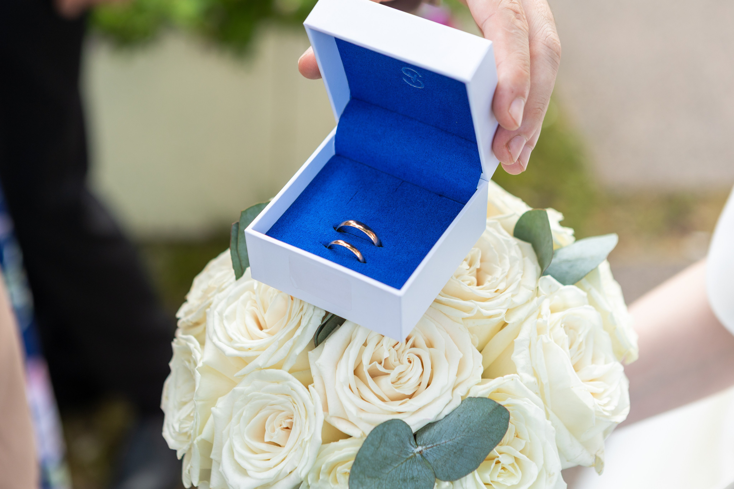 Летнее мерцание. Фотограф в Санкт-Петербурге