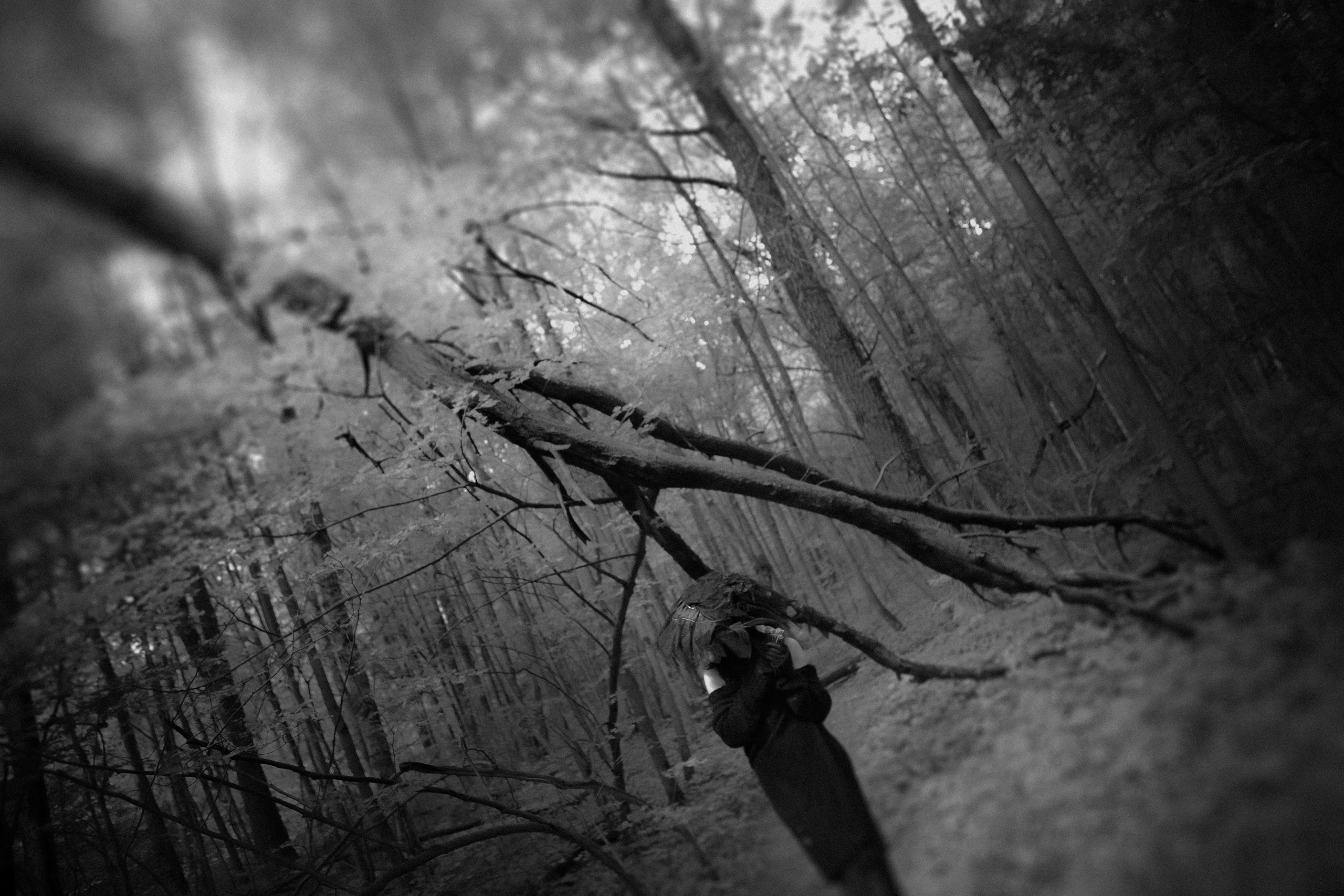 Девушка Черных топей. Игорь Замятин. Московский фотограф