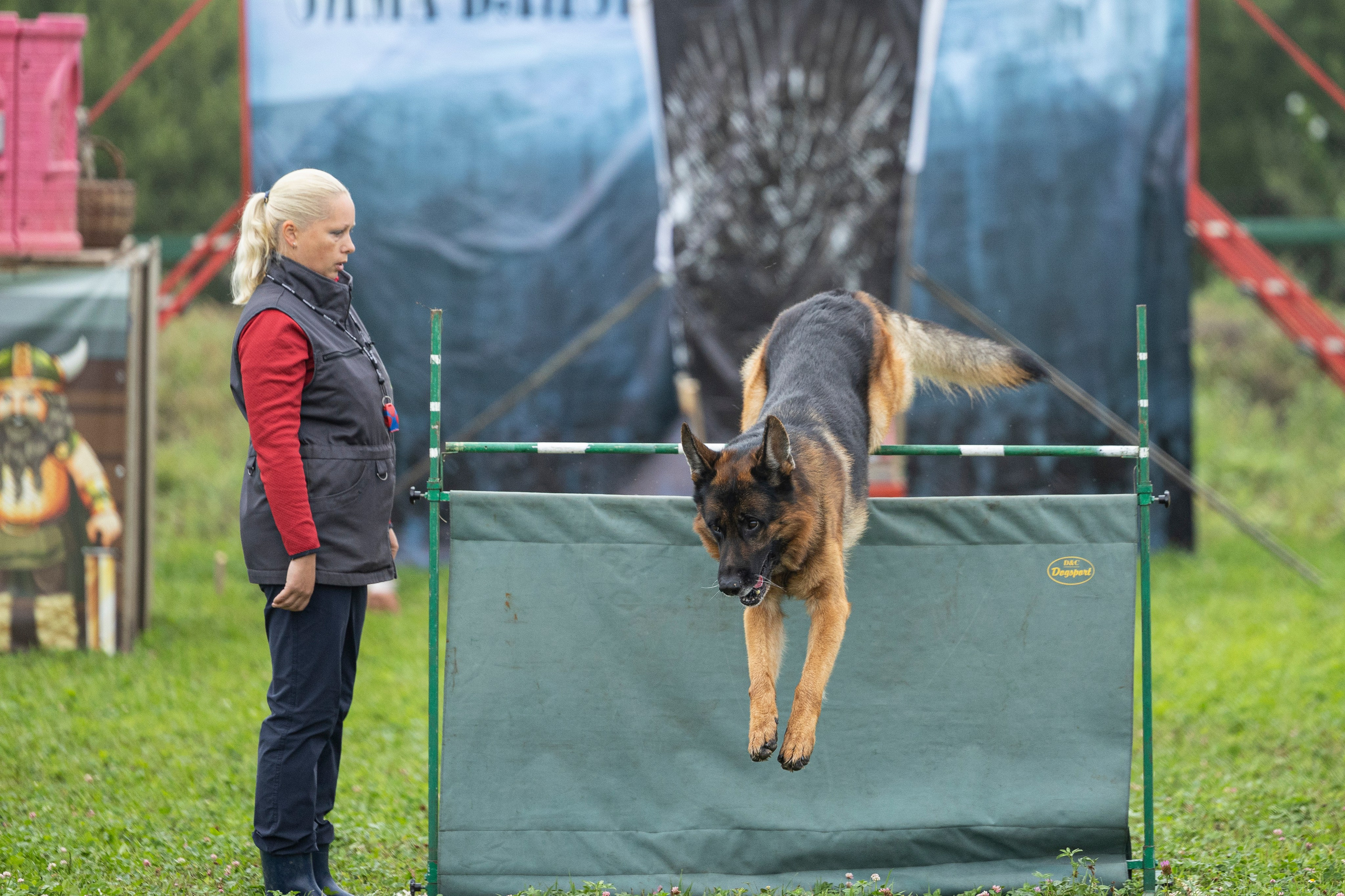 Соревнования по Мондьорингу г. Вологда 10-11.08.2024. Фотограф-анималист Анна Маринич