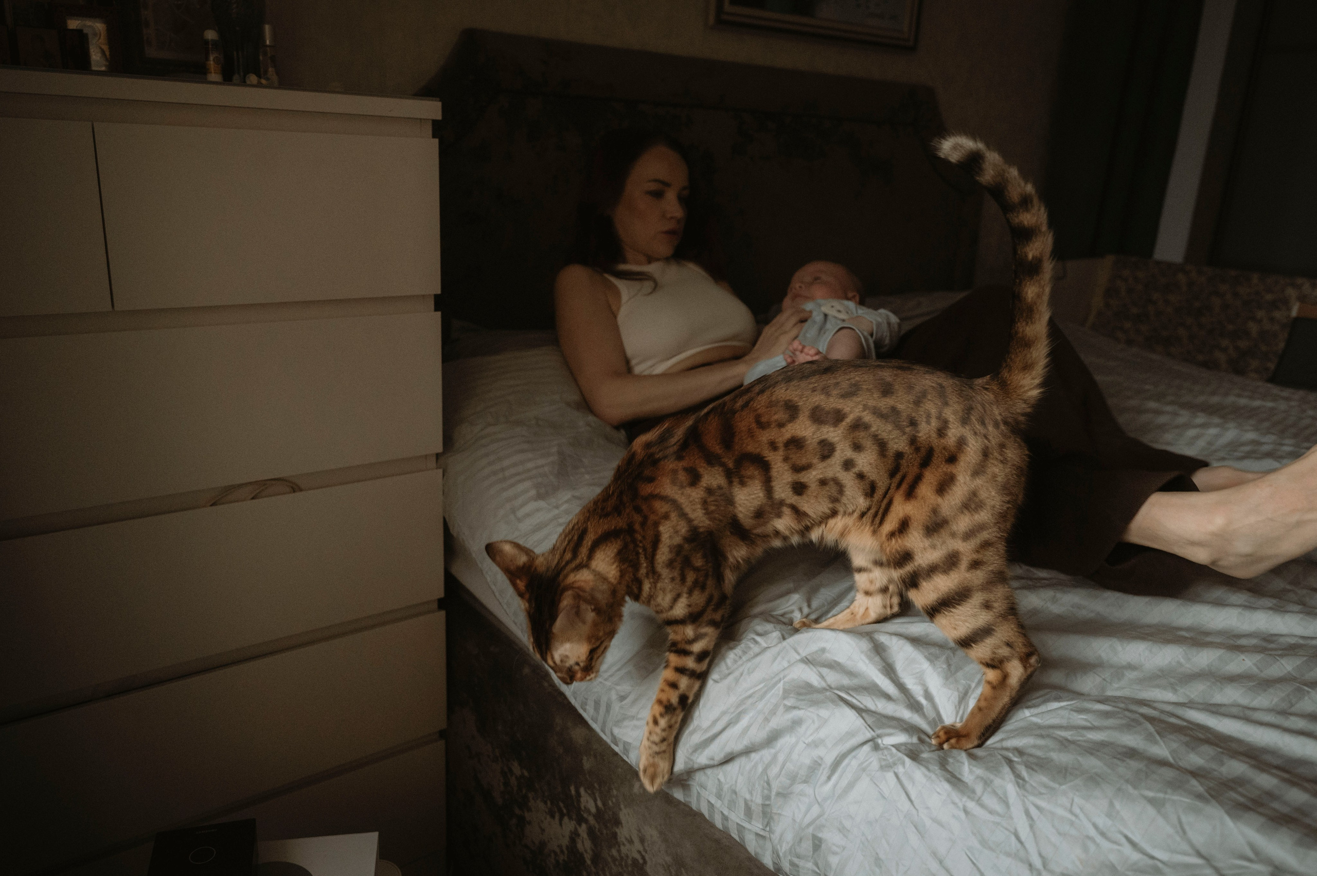 Домашняя семейная фотосессия. Фотограф беременных, лайфстаил фотограф, Ньюборн фотограф, все включено