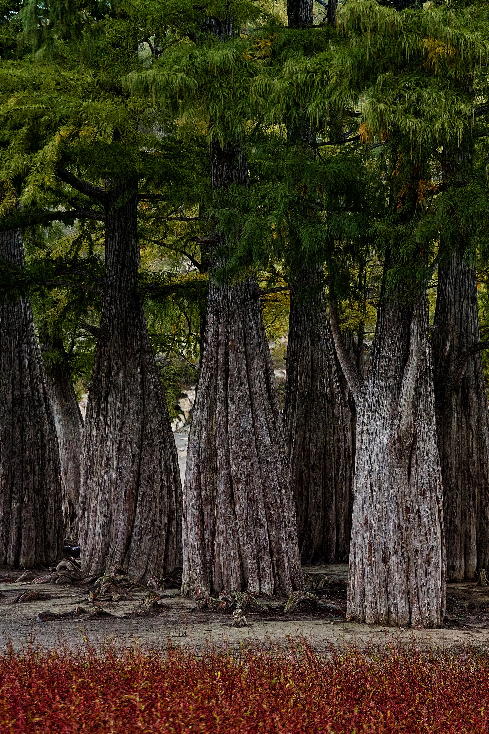 Текстуры и другие фоны. Textures and other. Яркие фото на Чёрном море