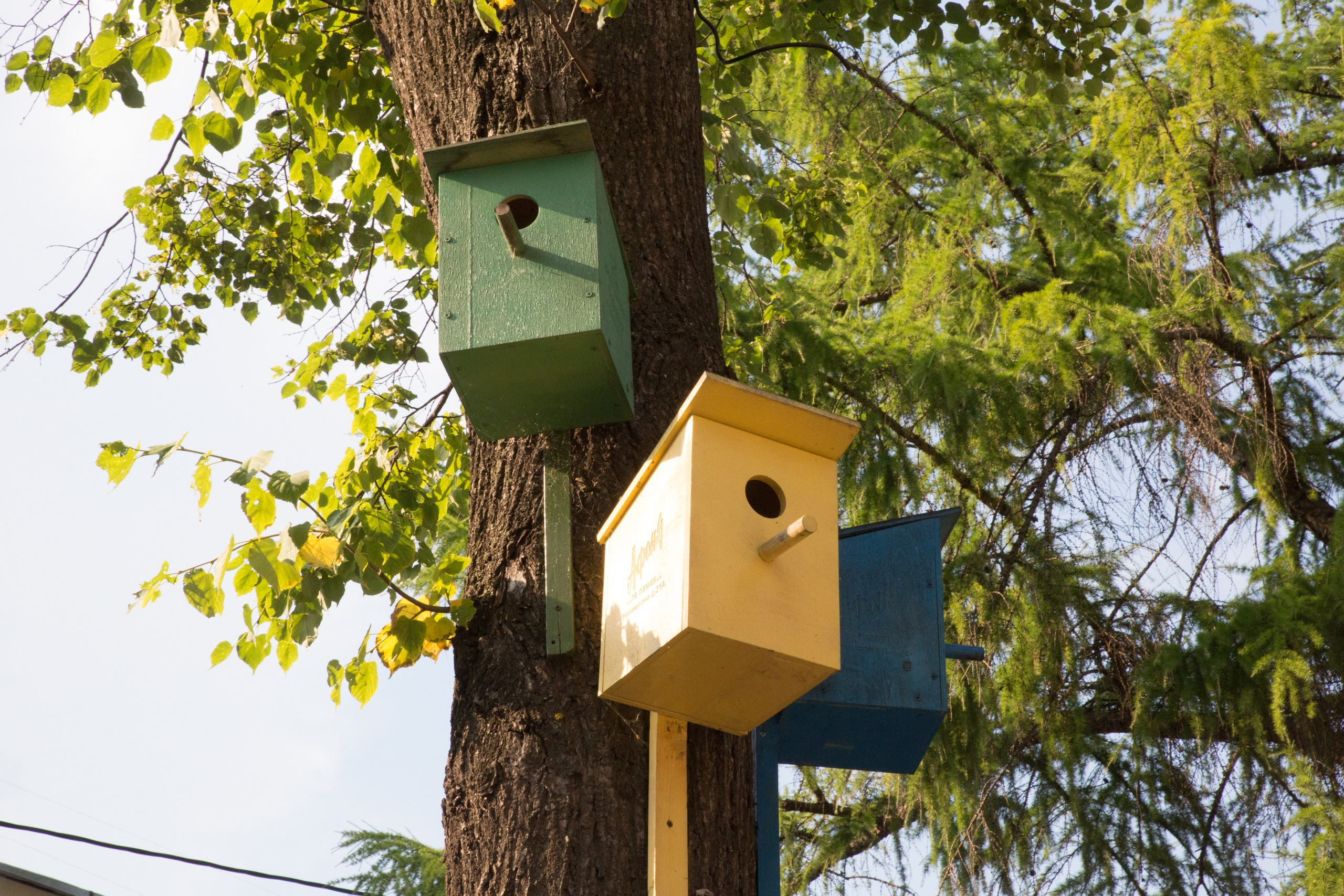Г. Ярославль. Студия Максима Белослюдцева