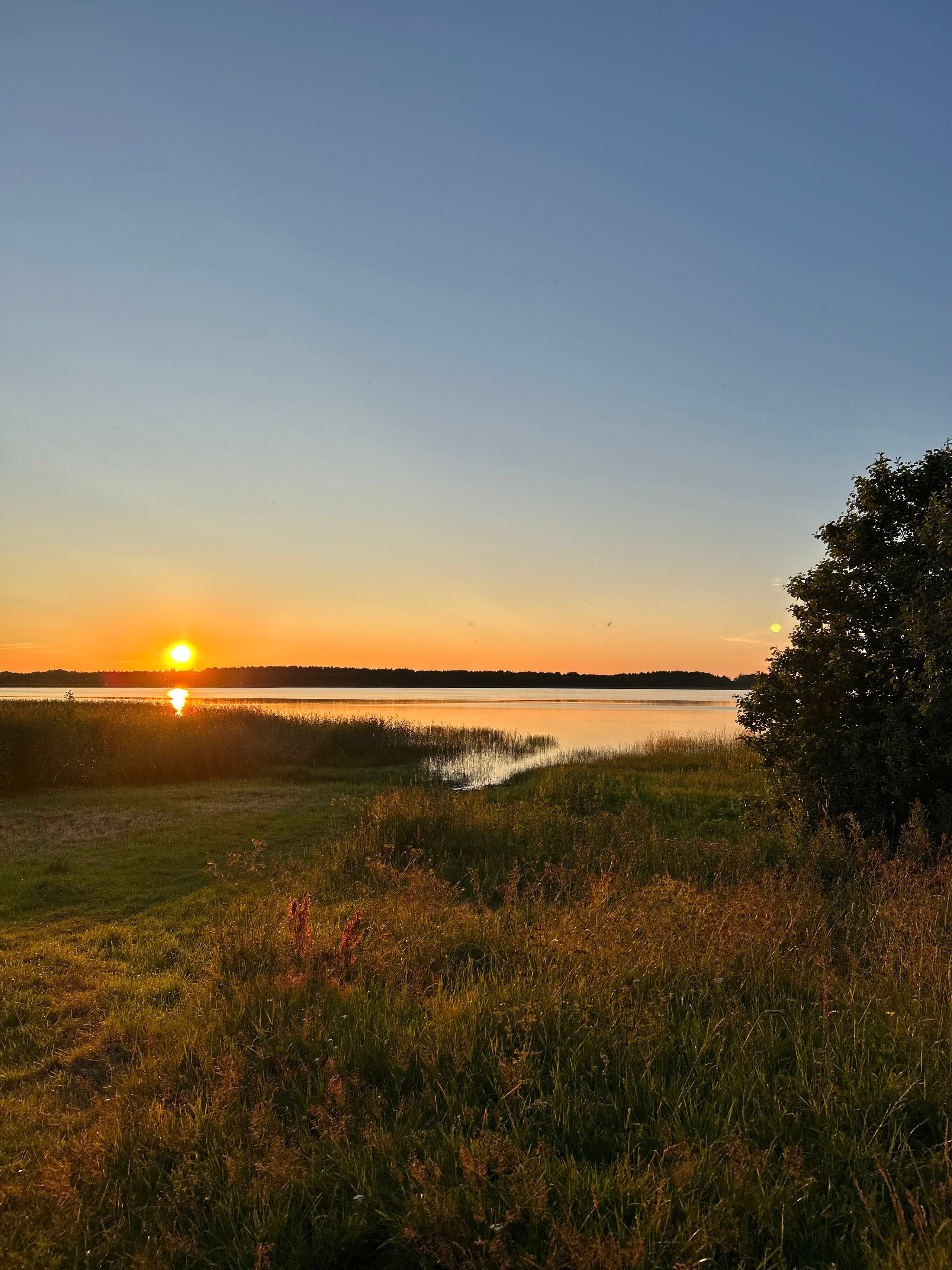 Лето, ах лето. Фотокружок «Видоискатель» ГБОУ СОШ № 291