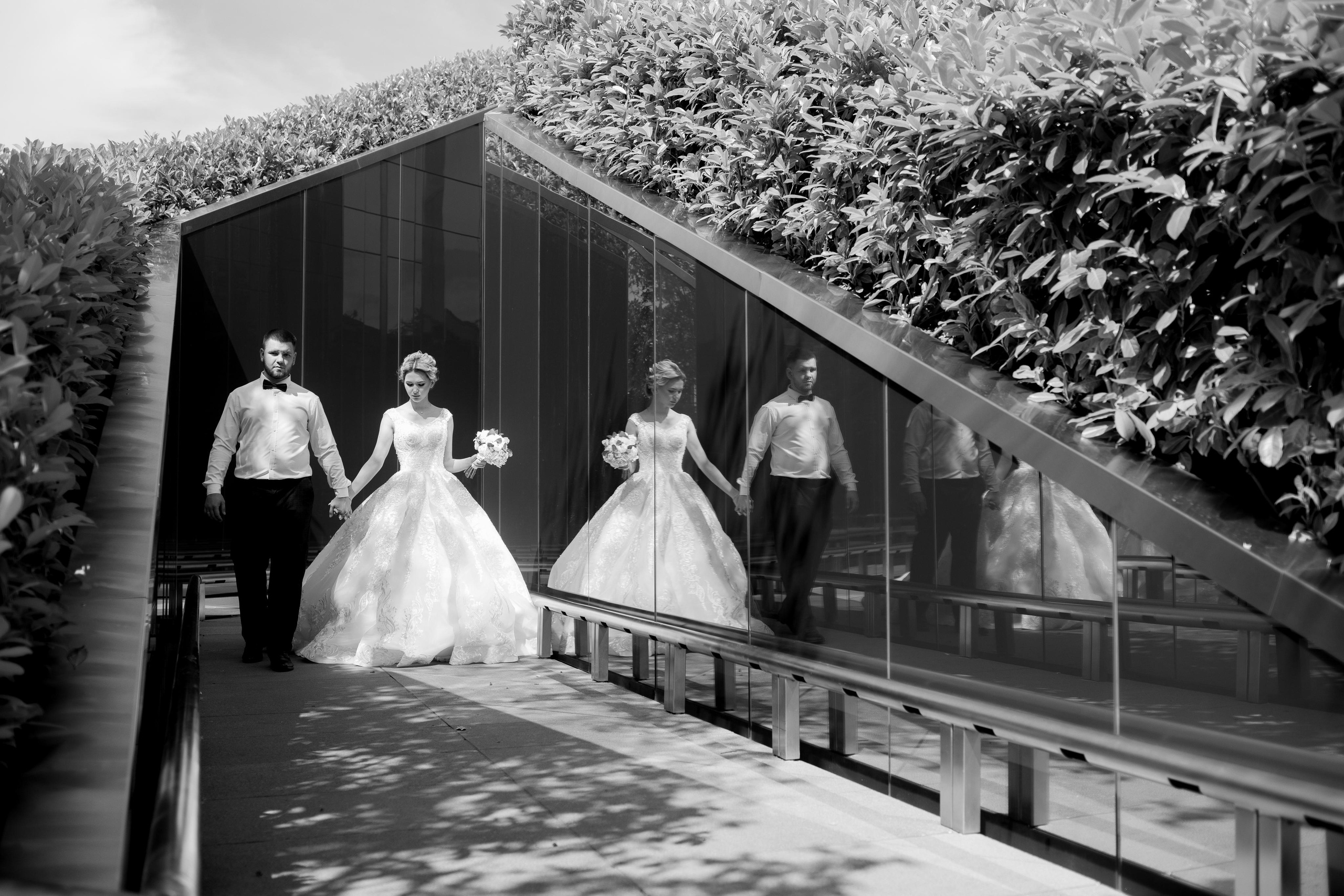 Daria & Mikhail. Свадебный и семейный фотограф