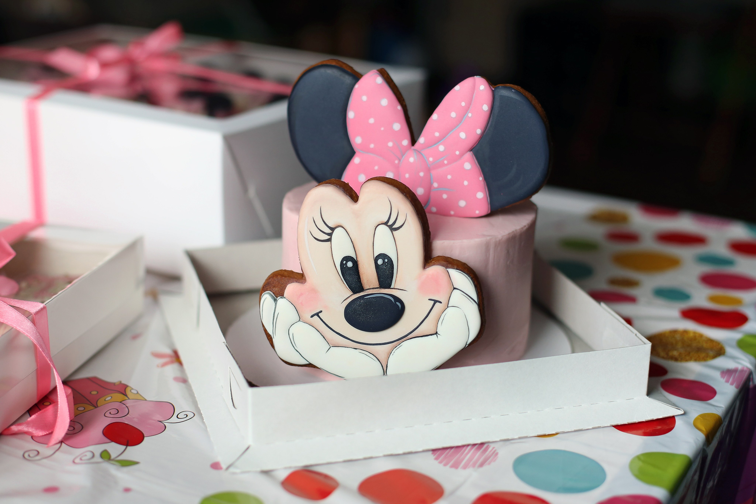 Детские Дни Рождения. Фотограф в Санкт-Петербурге Анастасия Сачкова