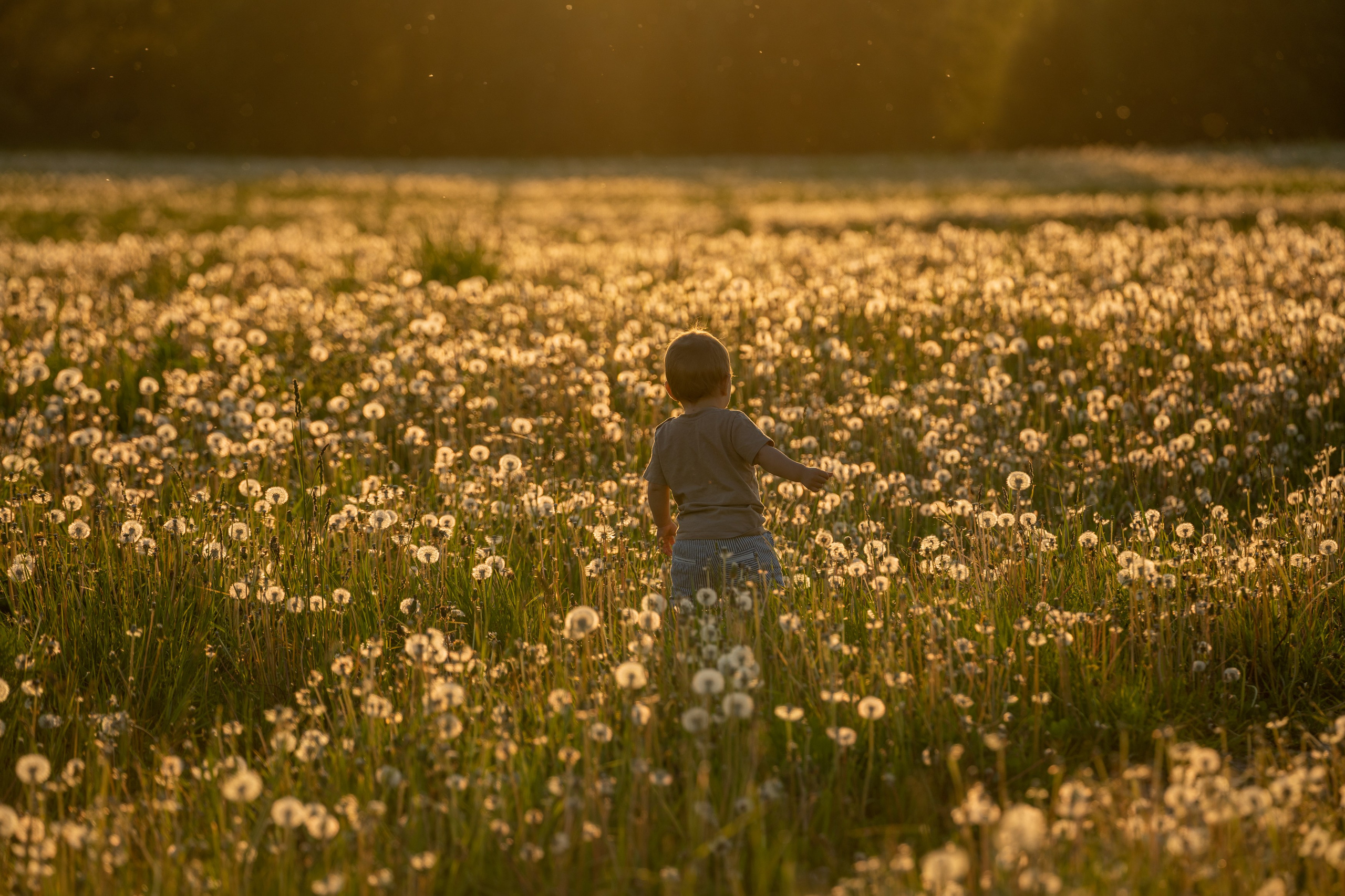 Семейная фотосессия на природе. Портретный фотограф Олеся Владимирова в Москве