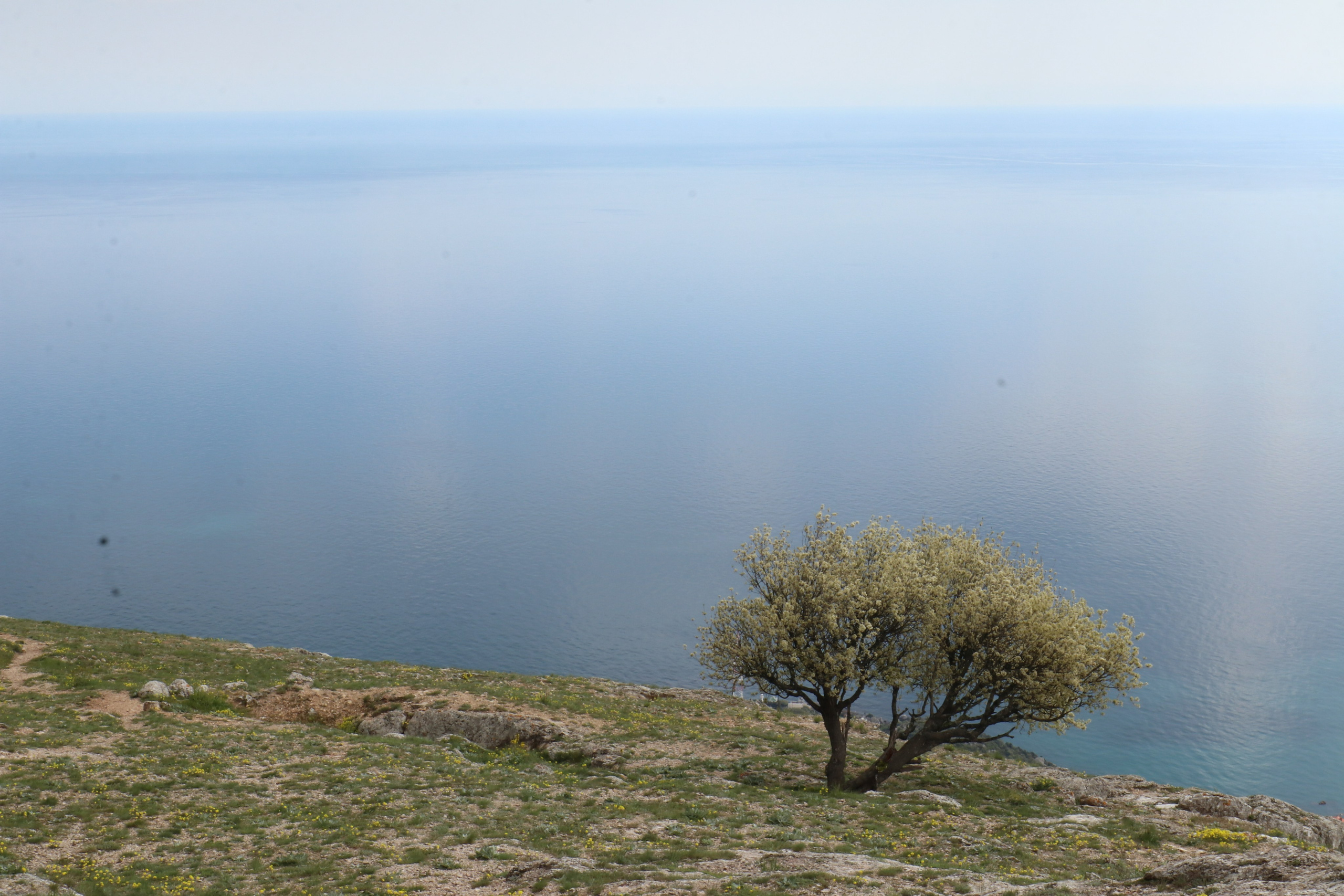 Крым. ЮБК (Севастополь, Кастрополь, Ялта). Май 2023. Путешественник-фотограф из Санкт-Петербурга Татьяна Свистулина