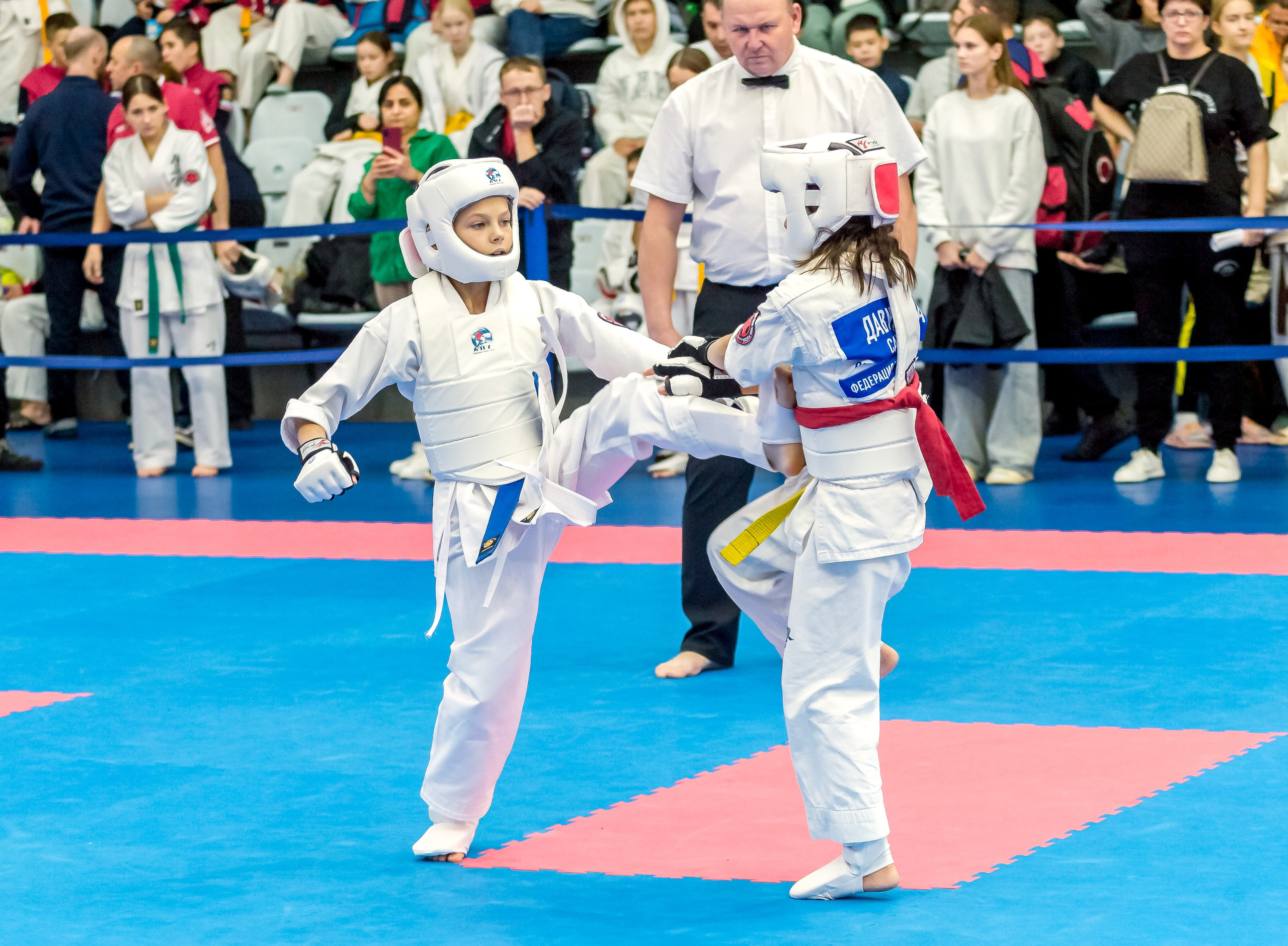 Соревнования по Киокушин памяти С. Увицкого. Репортажная съемка в Москве и области. Анималистика