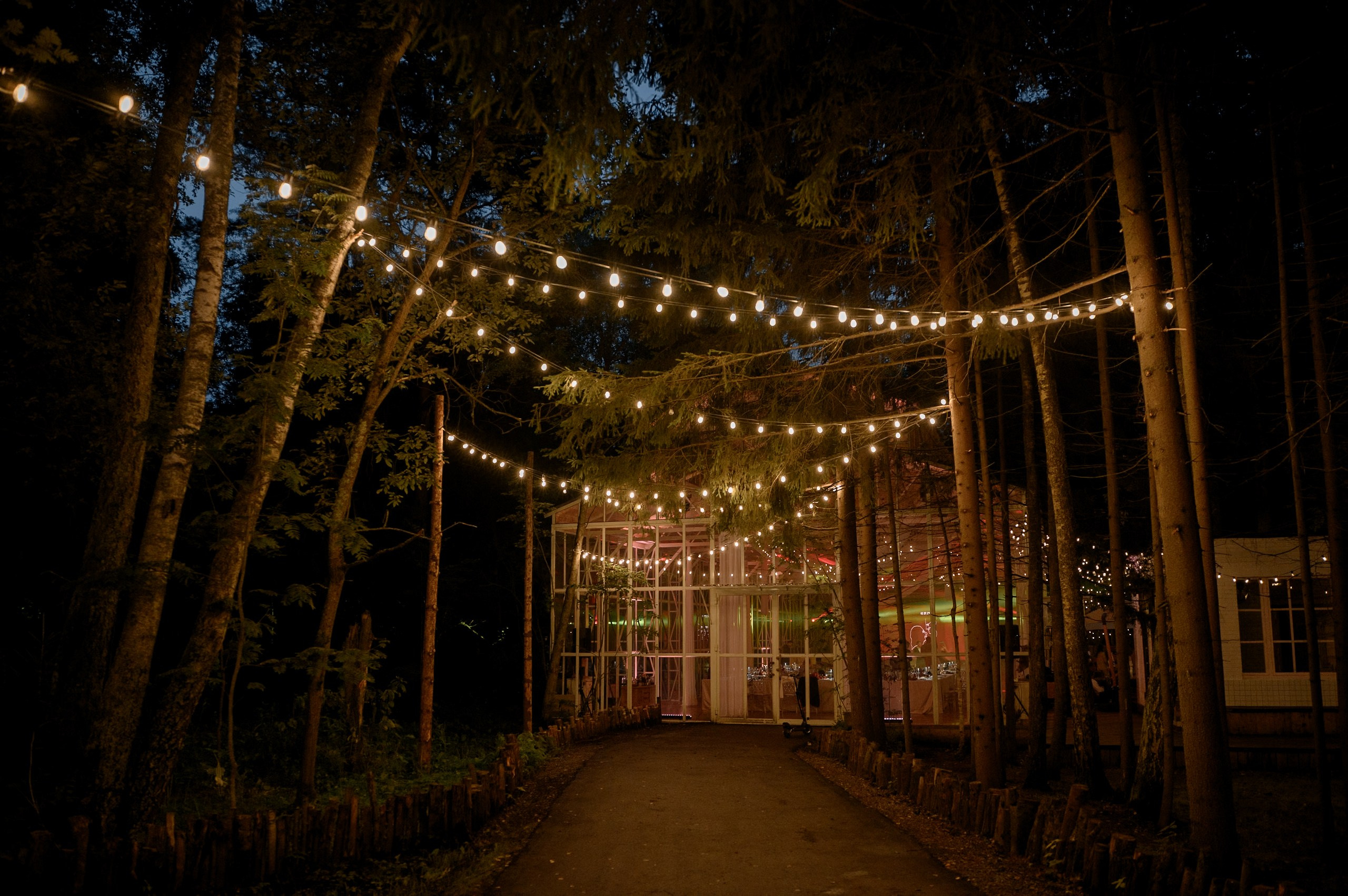 Сквозь расстояния 18.07.2024. Свадебный и семейный фотограф в городе Смоленске