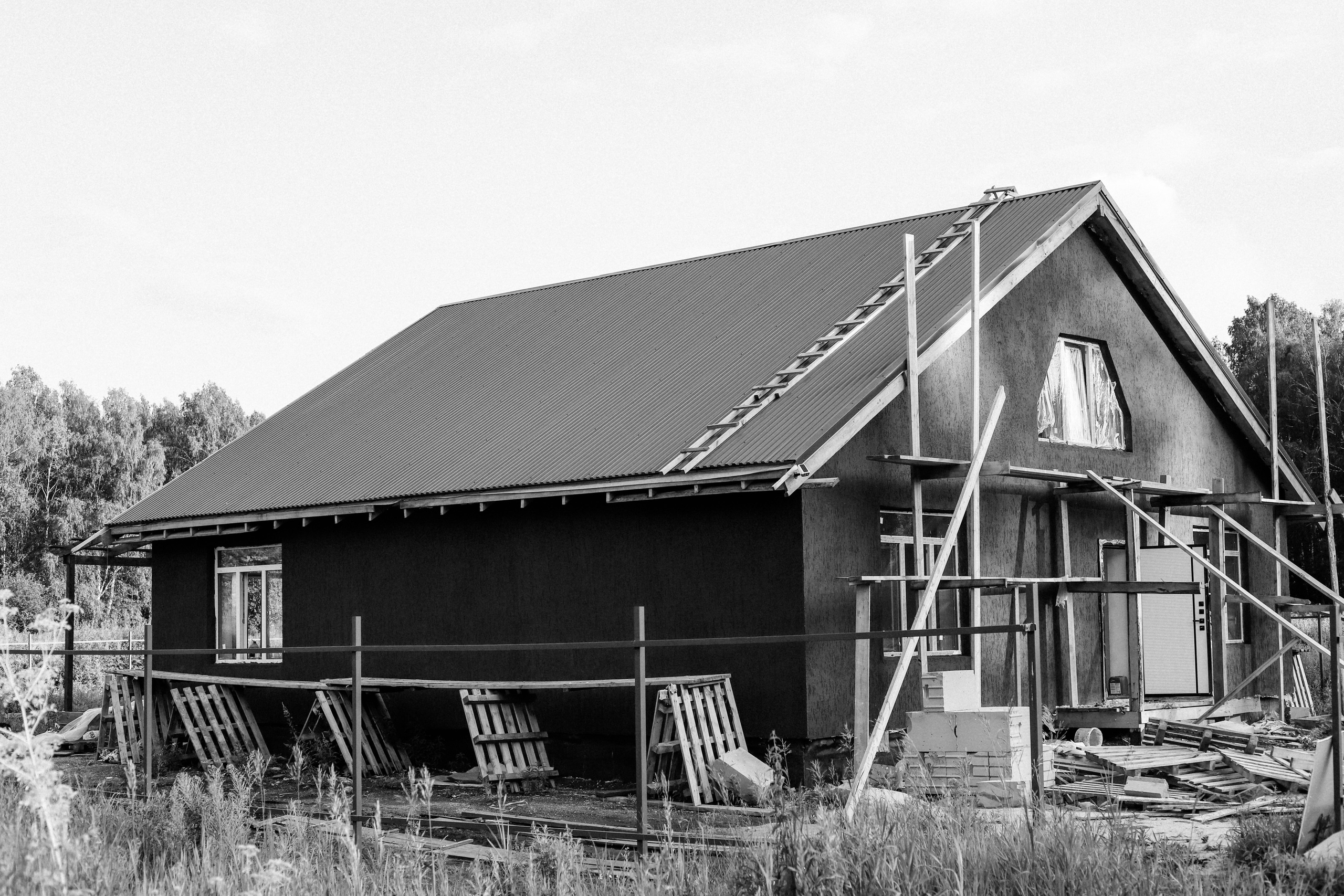 НОЕВ КОВЧЕГ. Художница Екатерина Малышева