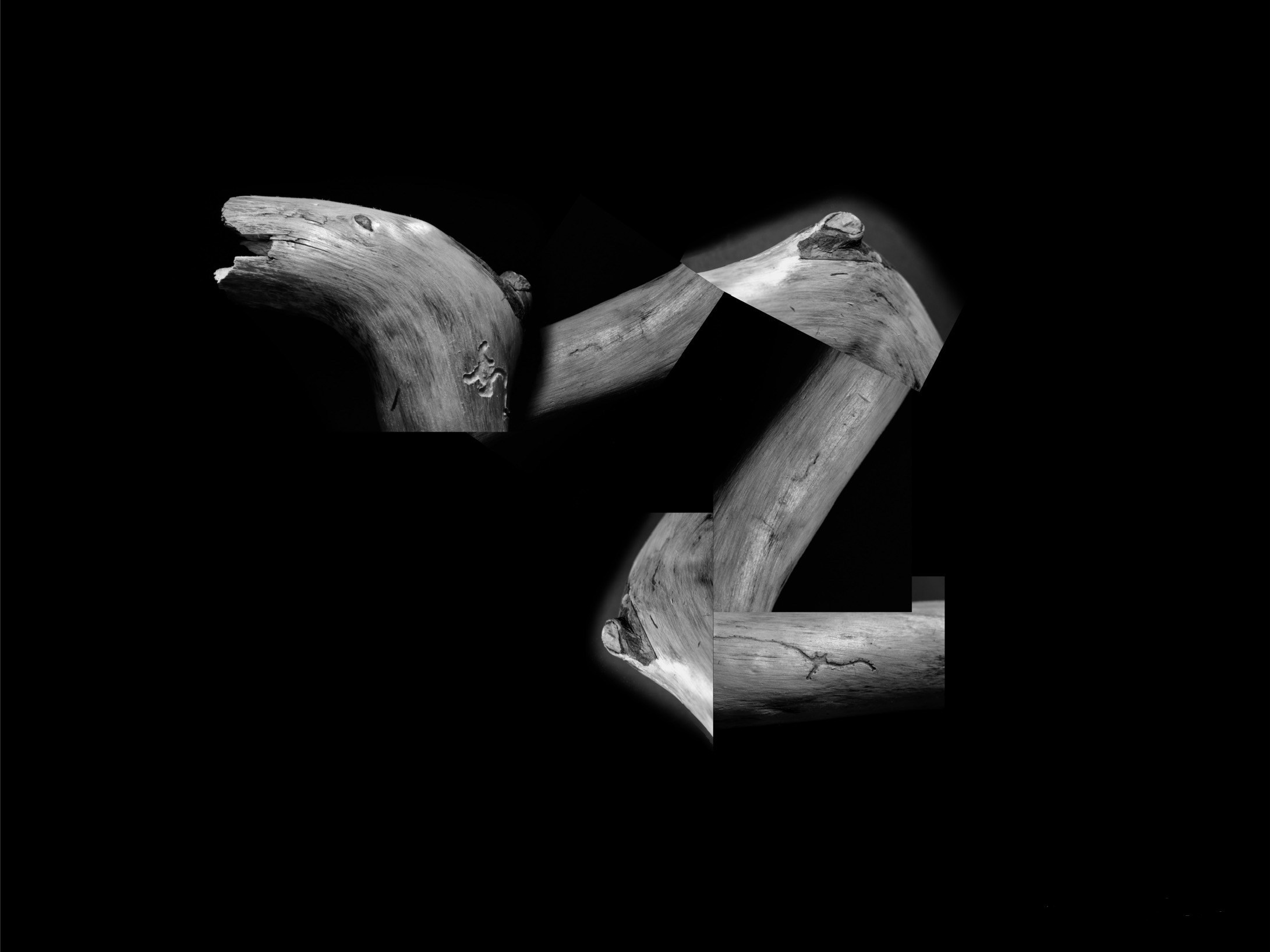 НОЕВ КОВЧЕГ. Художница Екатерина Малышева