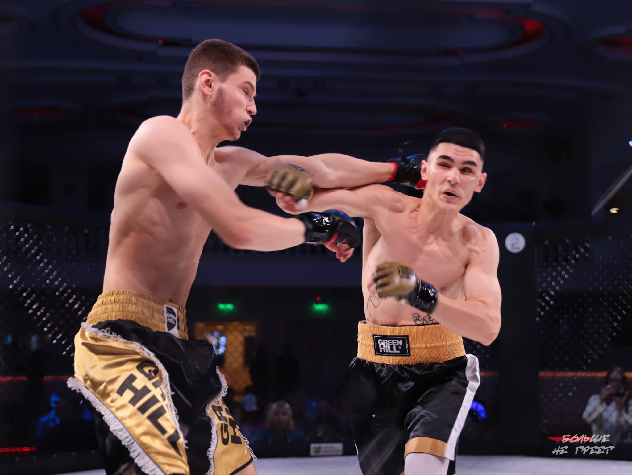 SABR FIGHTING. Больше не греет