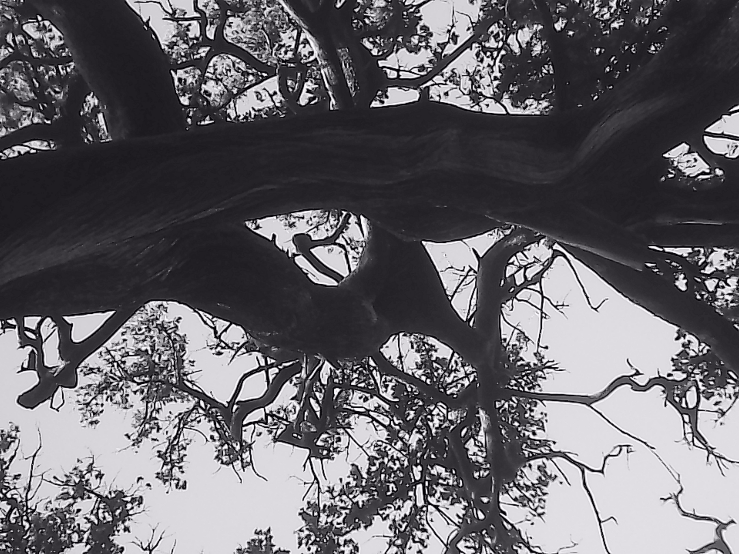 «Крошка 🐣». Anita_photo