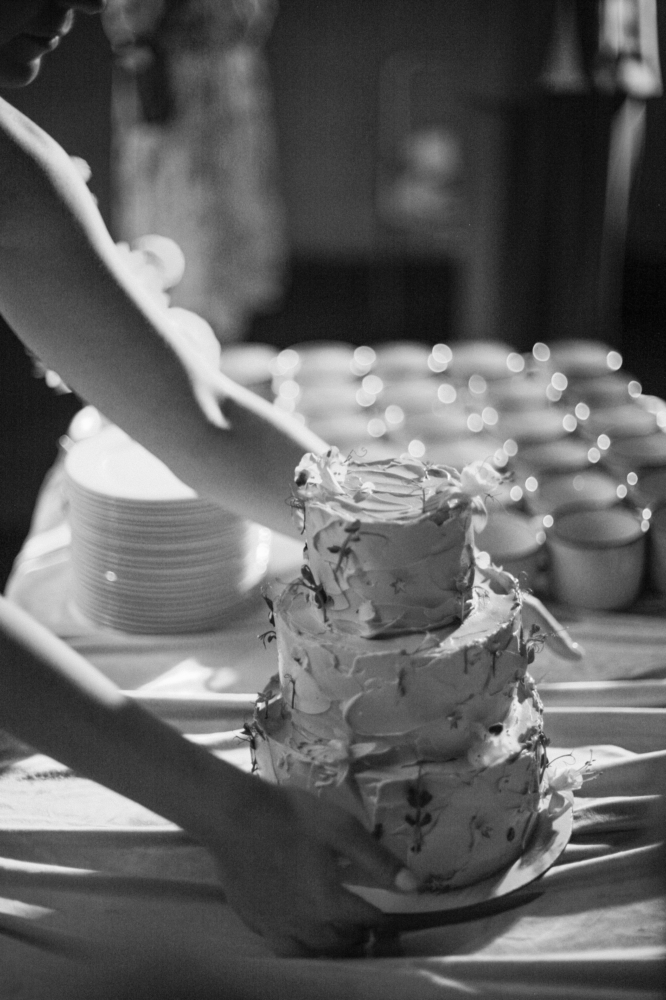 Аня и Кирилл (полный день с росписью). Фотограф Екатерина Максимова: семейные, индивидуальные съемки, свадьбы