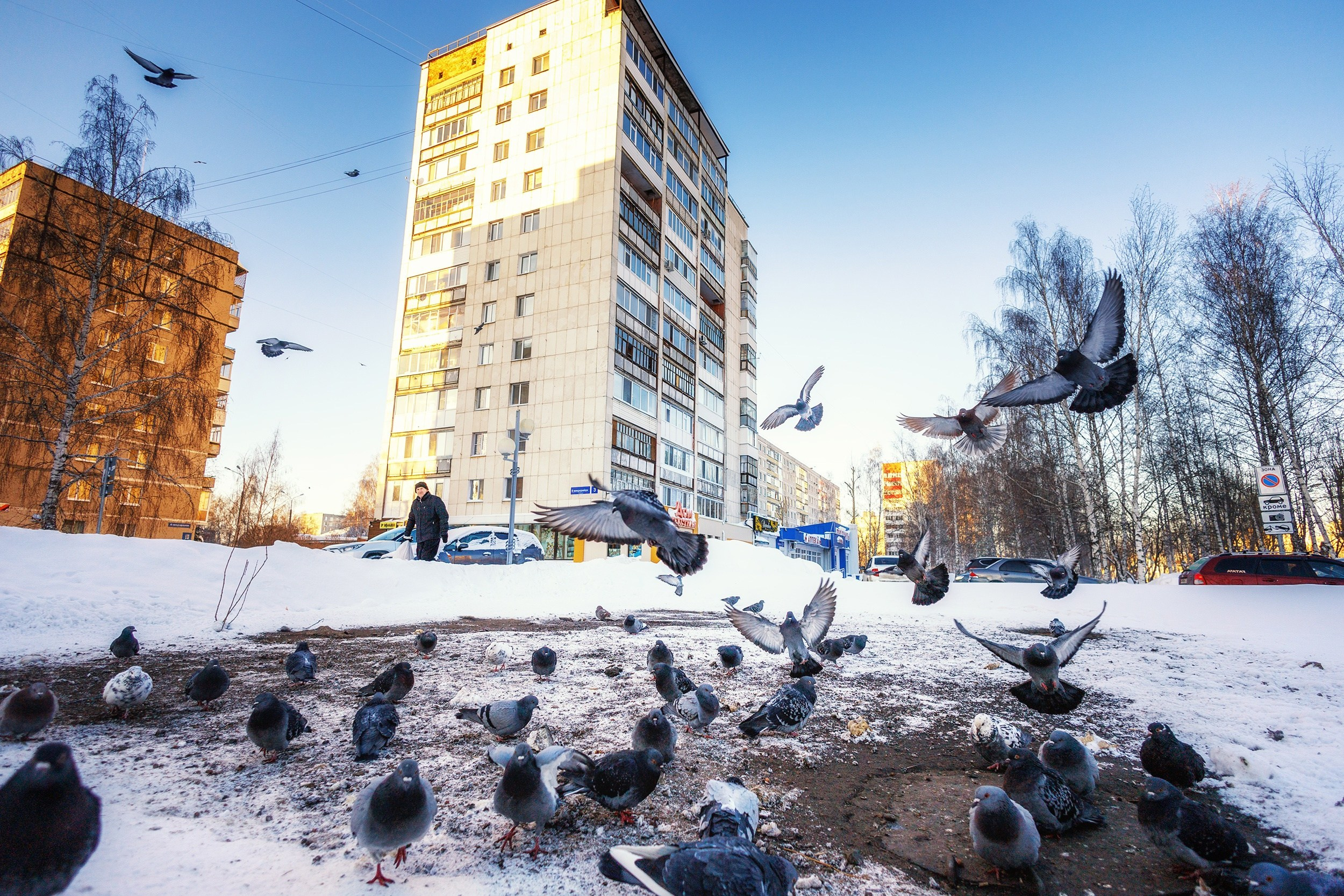Город. Фотосессии в Тобольске, школьный фотограф, репортажная съемка