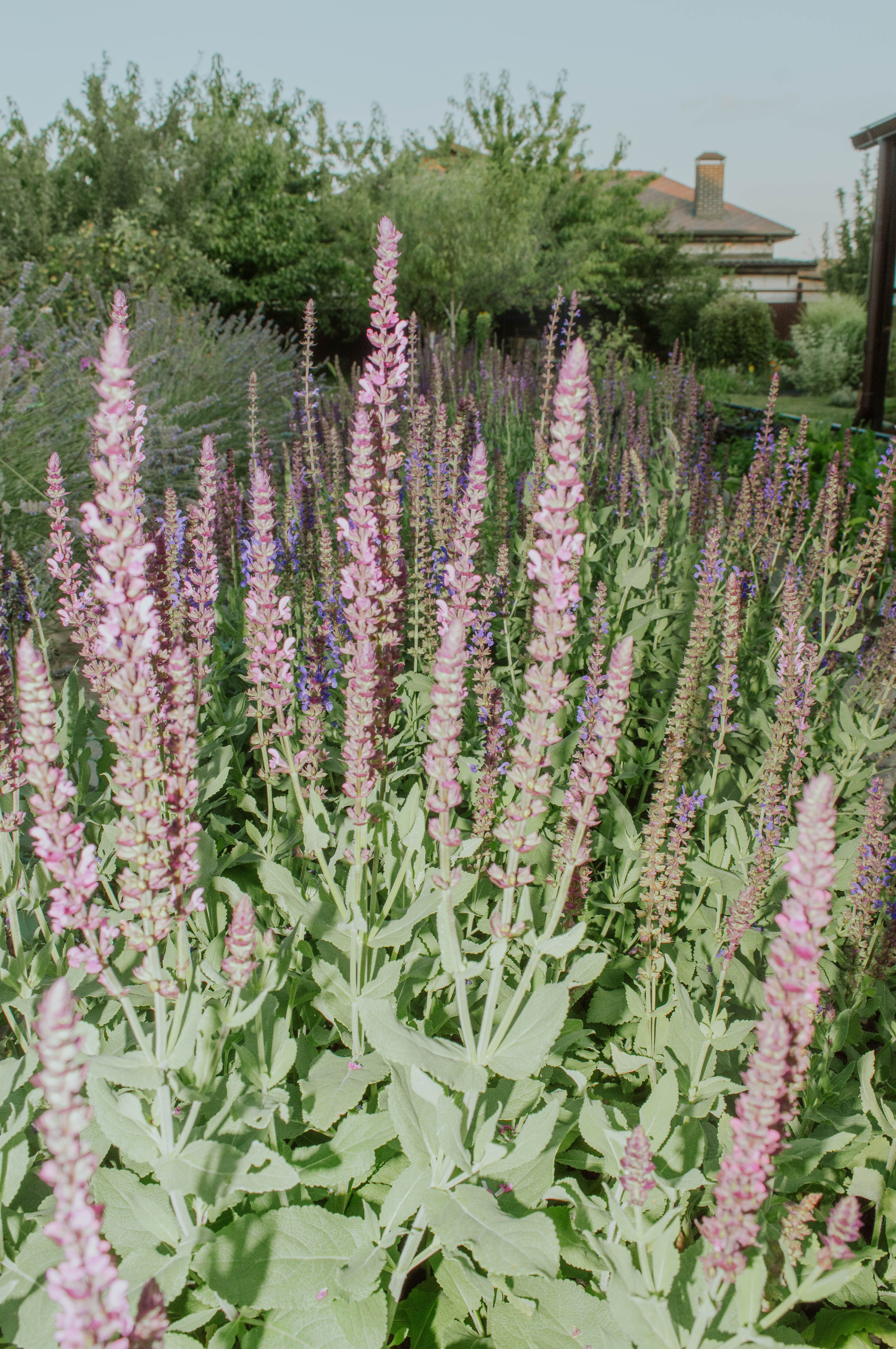 Love-story в саду. Фотограф Анастасия Лощакова в Москве
