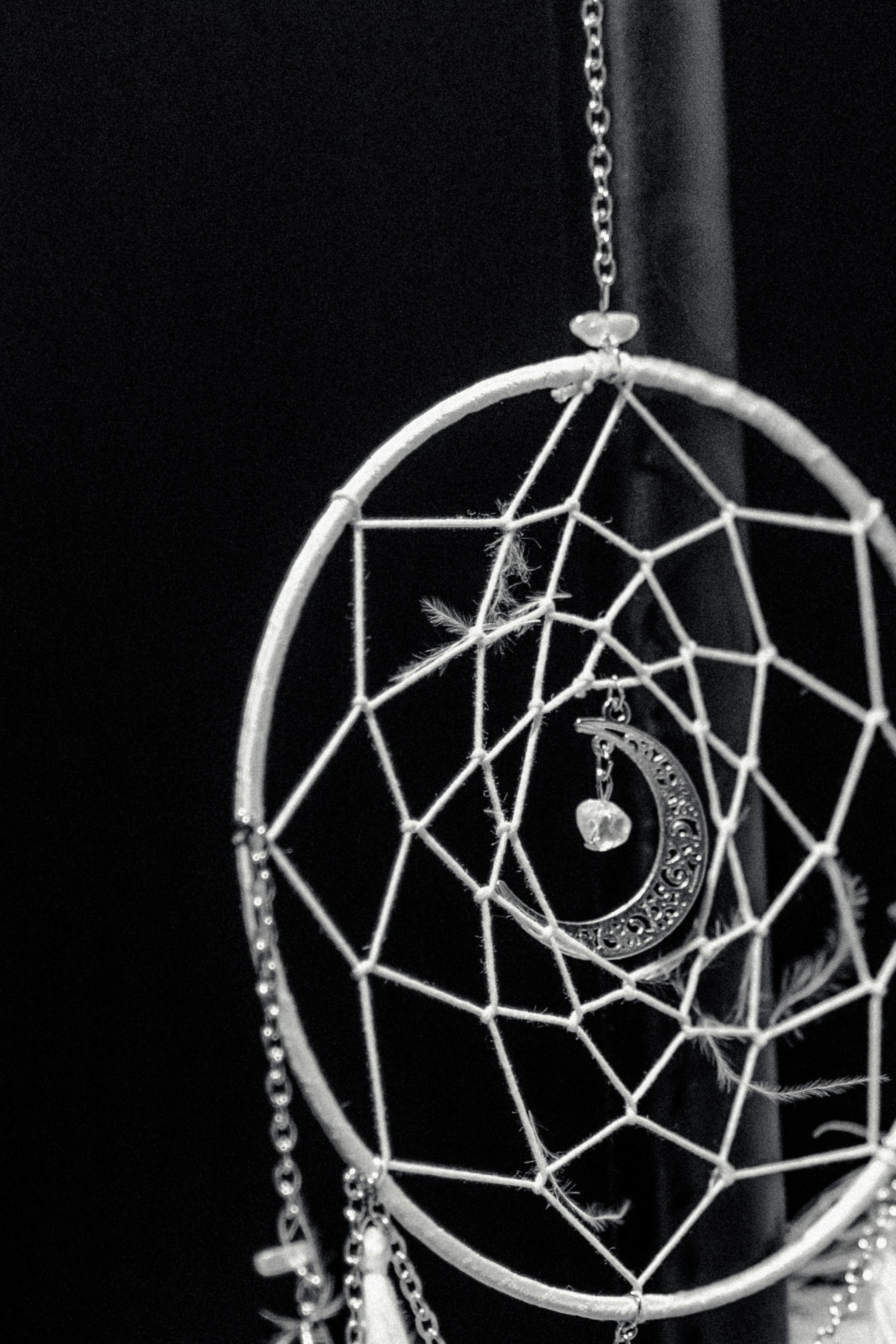 Lika KINO.A. Максим Комаров — Профессиональный фотограф