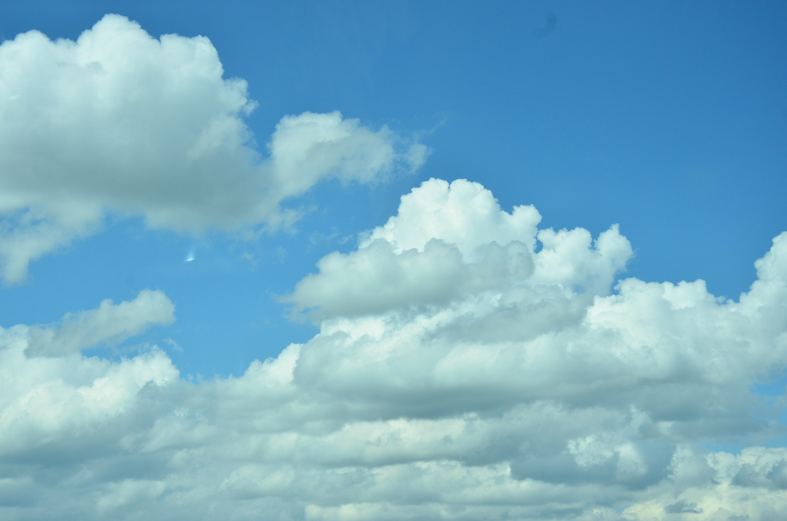 Дары природы. Фотограф viktor viktor