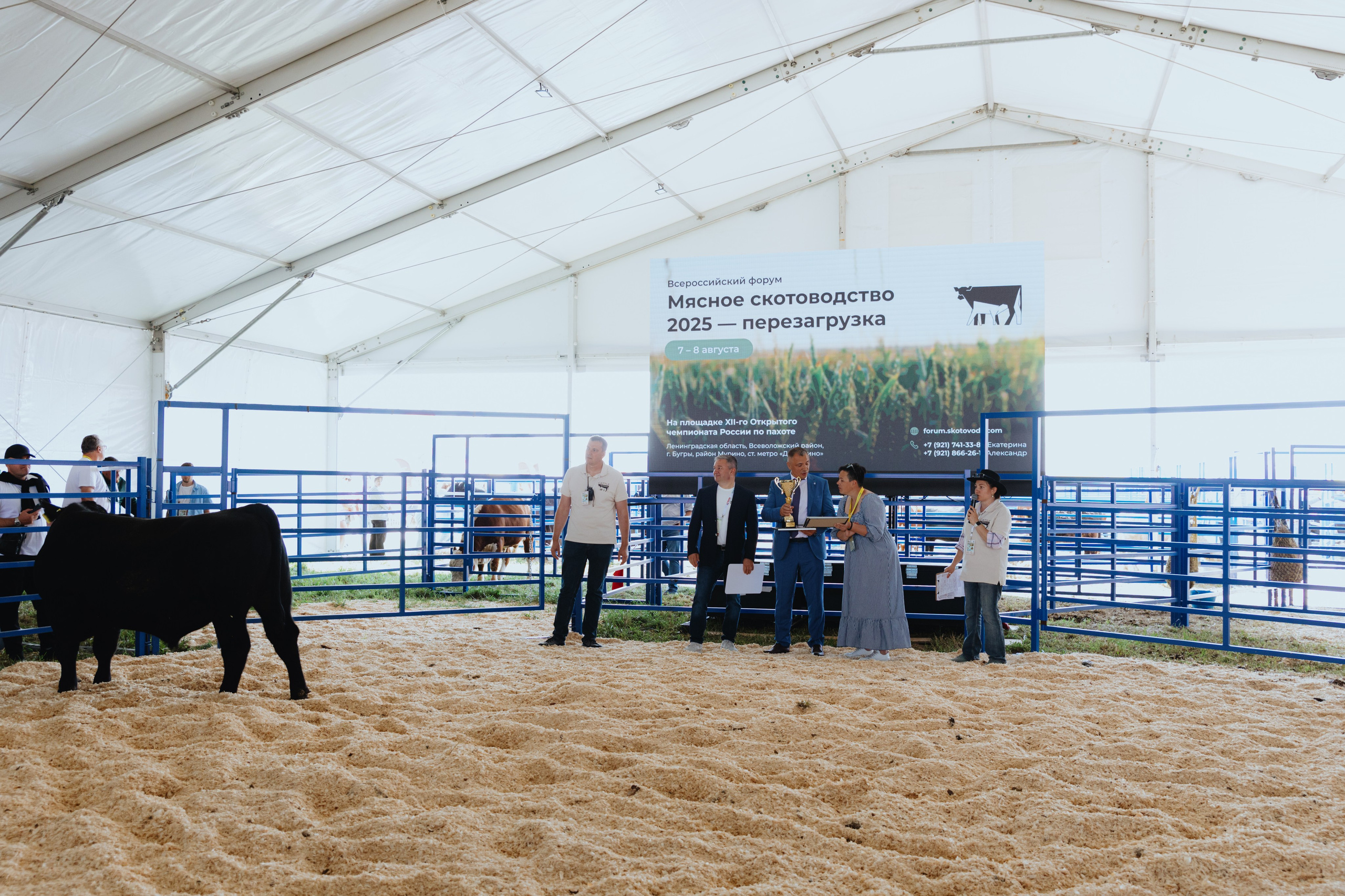 Россельхозбанк. Фотограф в Москве и Санкт-Петербурге Дарина