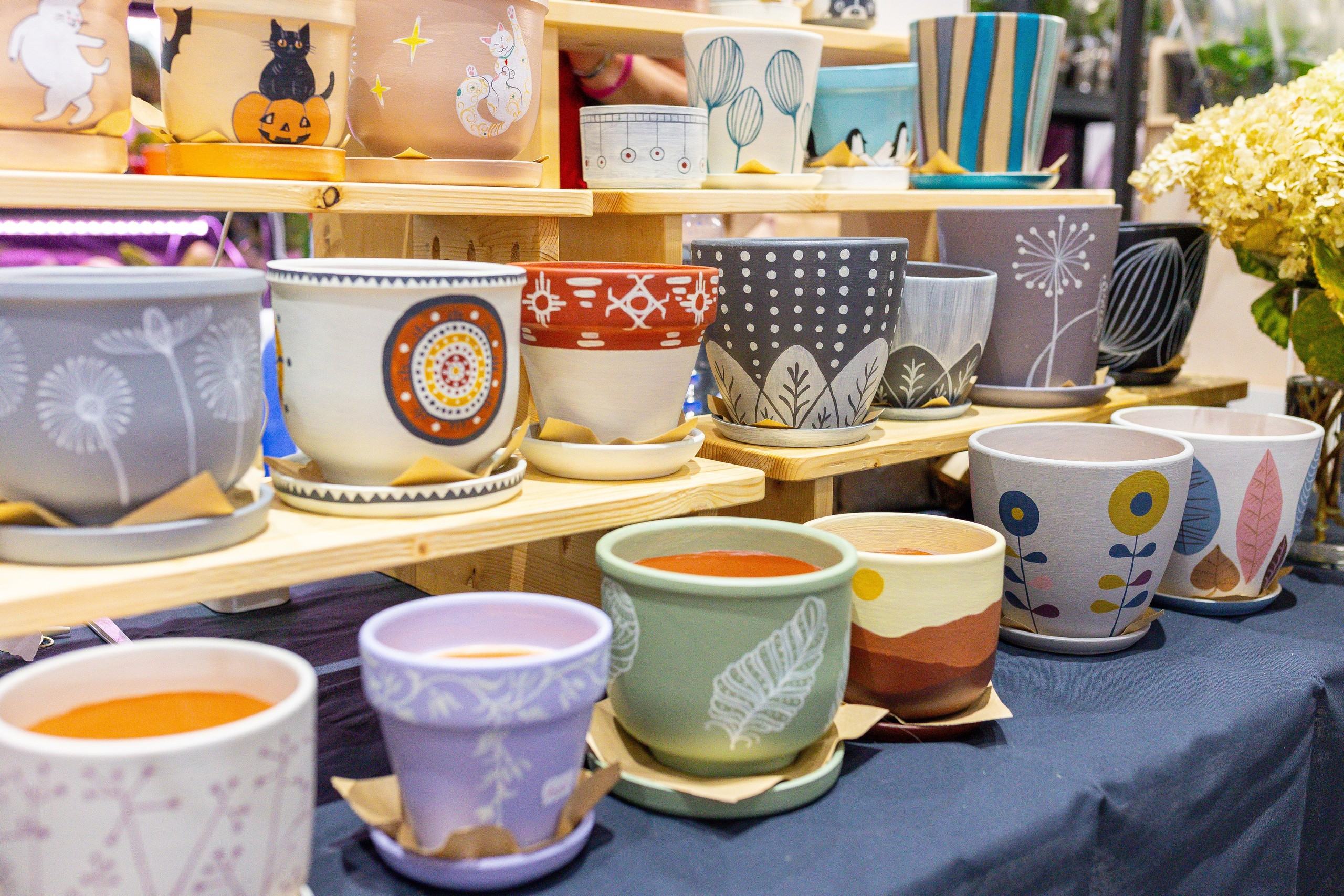 Монстериум 11–12 октября. Александра Куликова фотограф, Москва