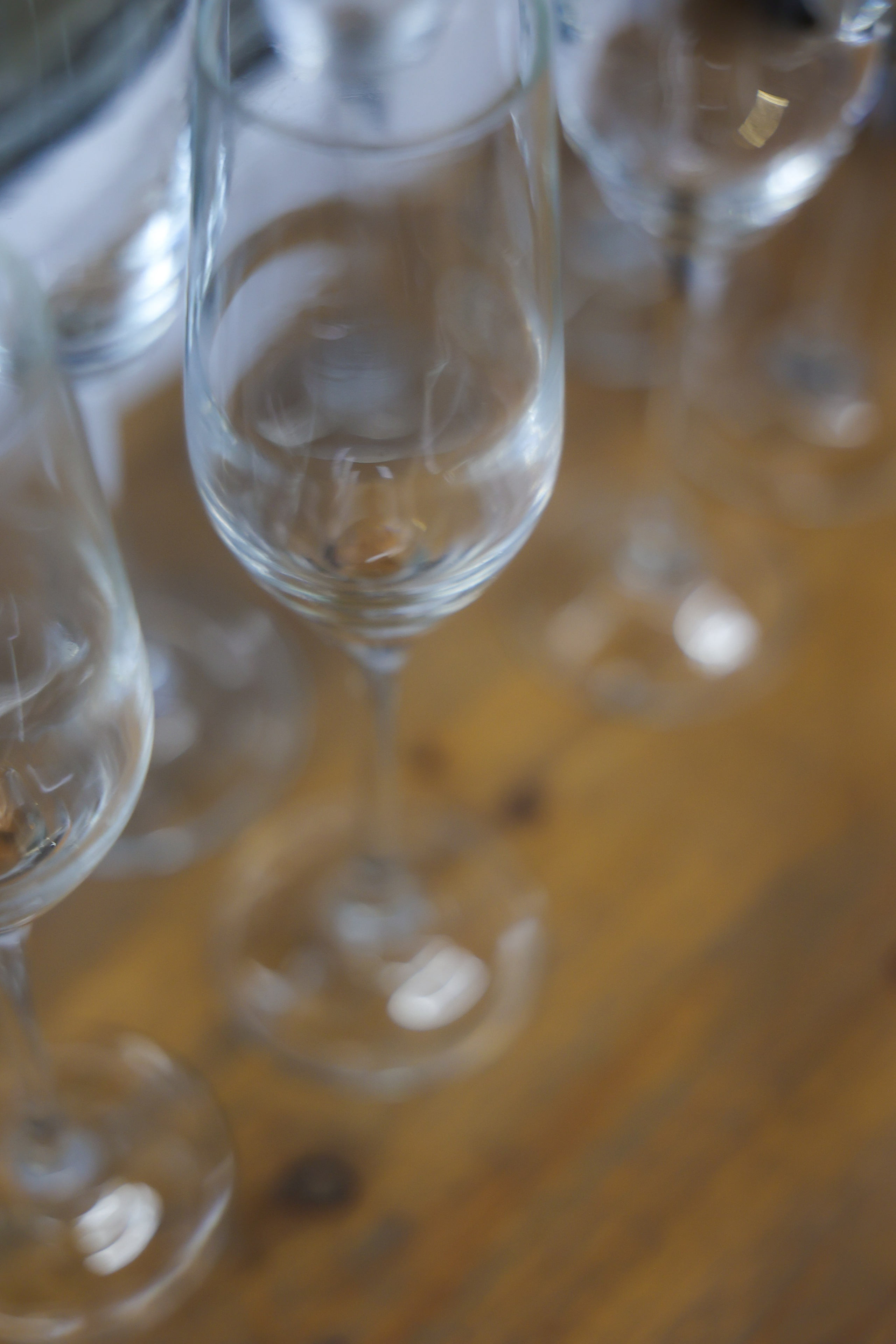 Азия Шадрин корпоратив. Фотограф НатаФото (Наталья Яковенко) Дмитров Москва Питер