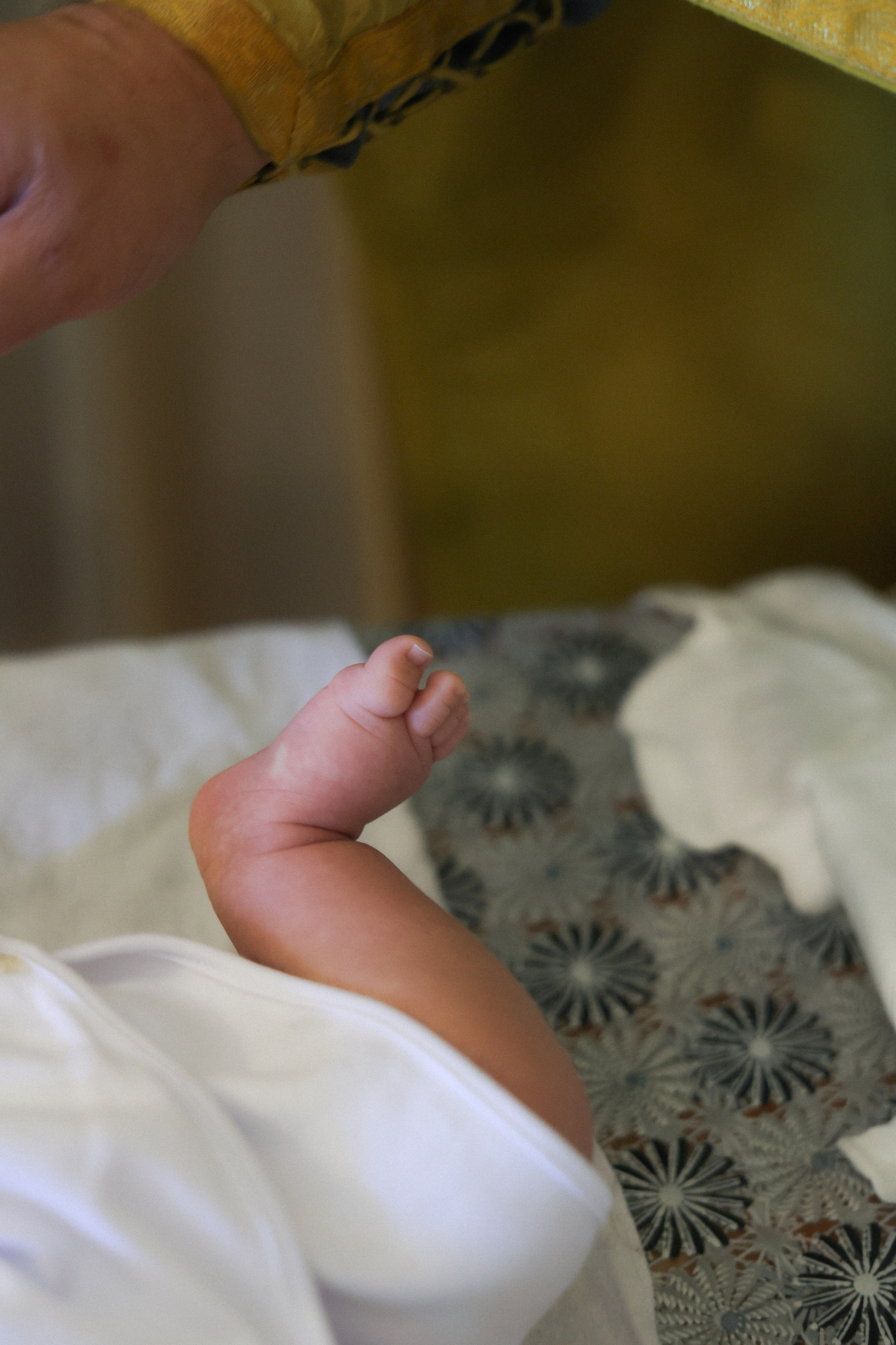 Милания. Фотограф НатаФото (Наталья Яковенко) Дмитров Москва Питер