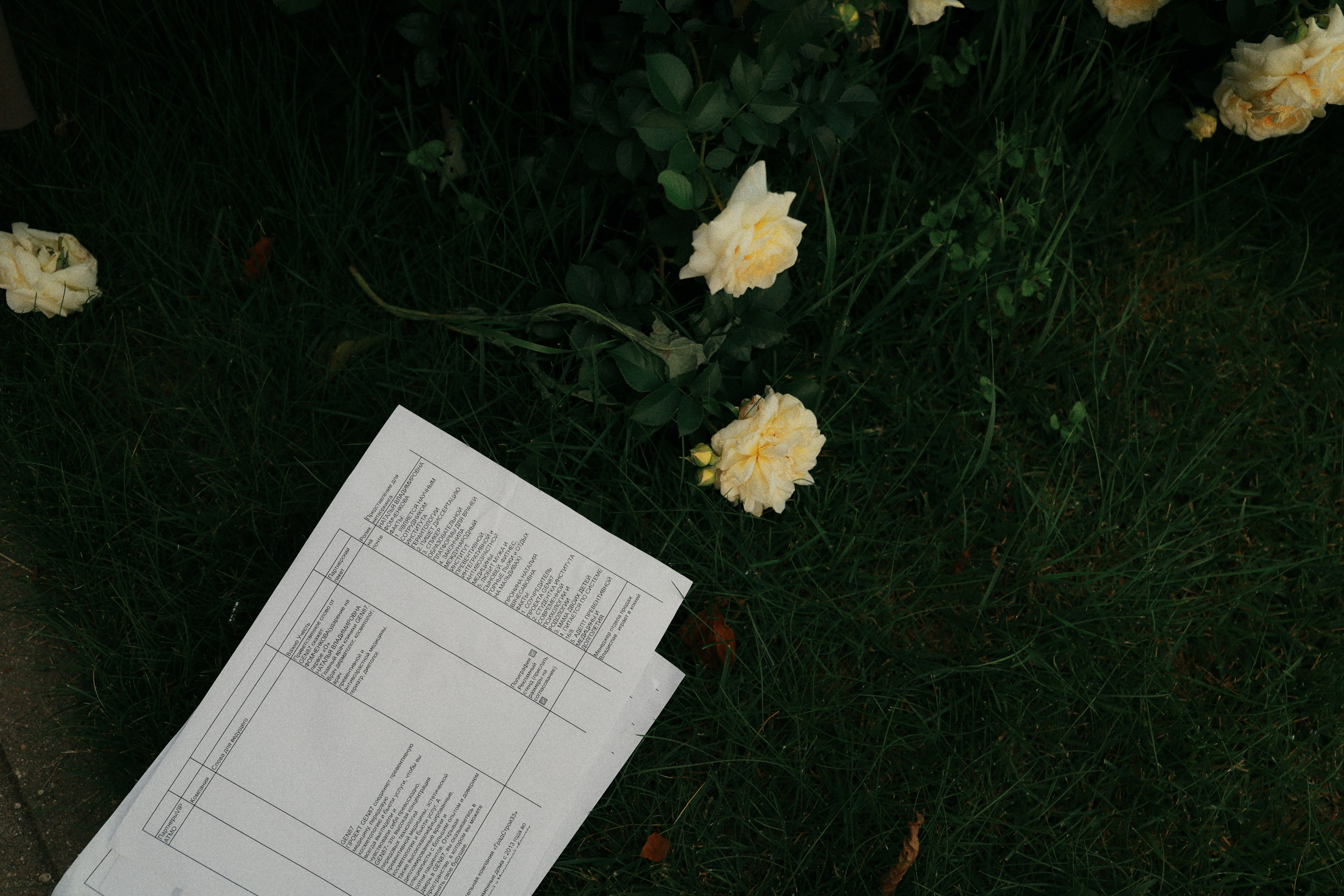 Атмо. Фотограф во Владимире, Москве и Суздале — Полина Романычева