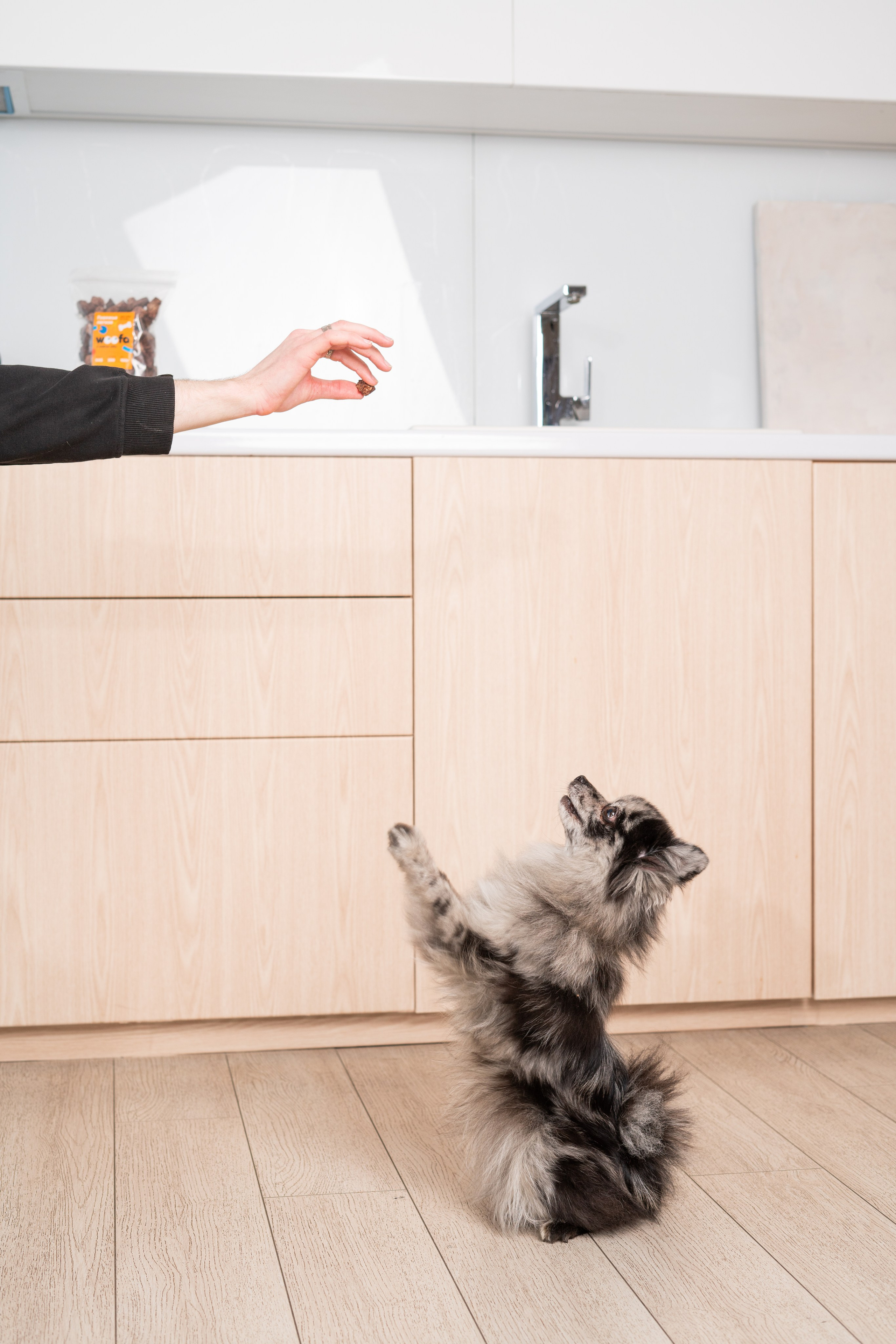 Лакомства Woofa. Фотограф анималист Осипчикова Мария