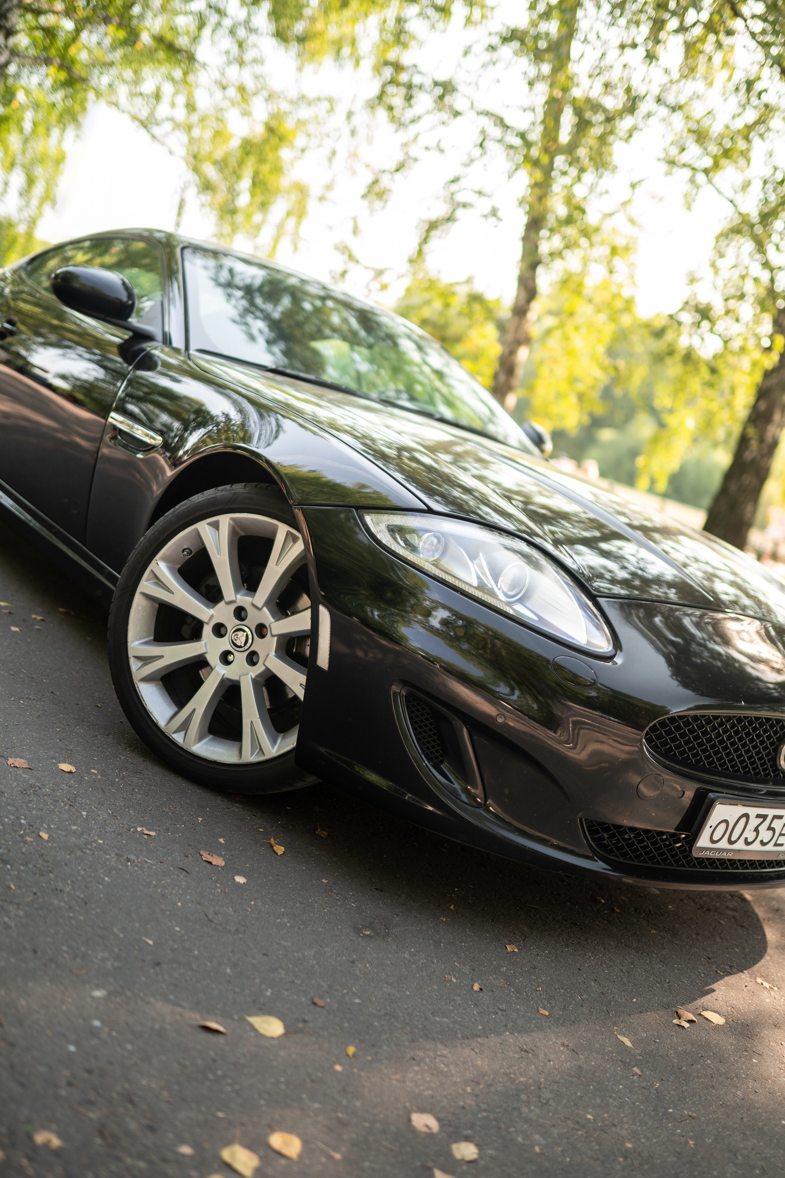 Jaguar Xk. Mirllaev