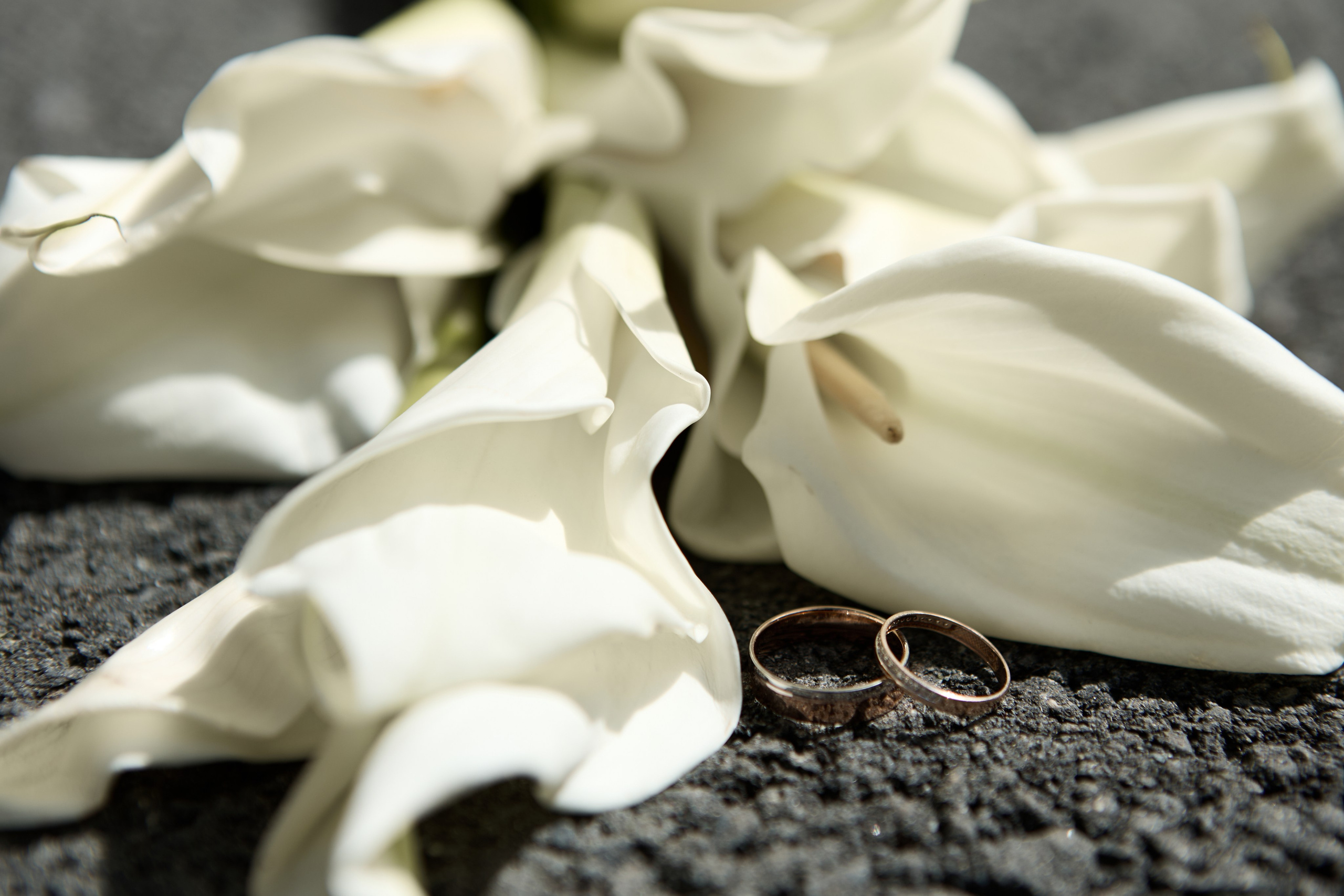 Костя & Настя (загс+лавстори). Фотограф Екатеринбург Яна Язовская