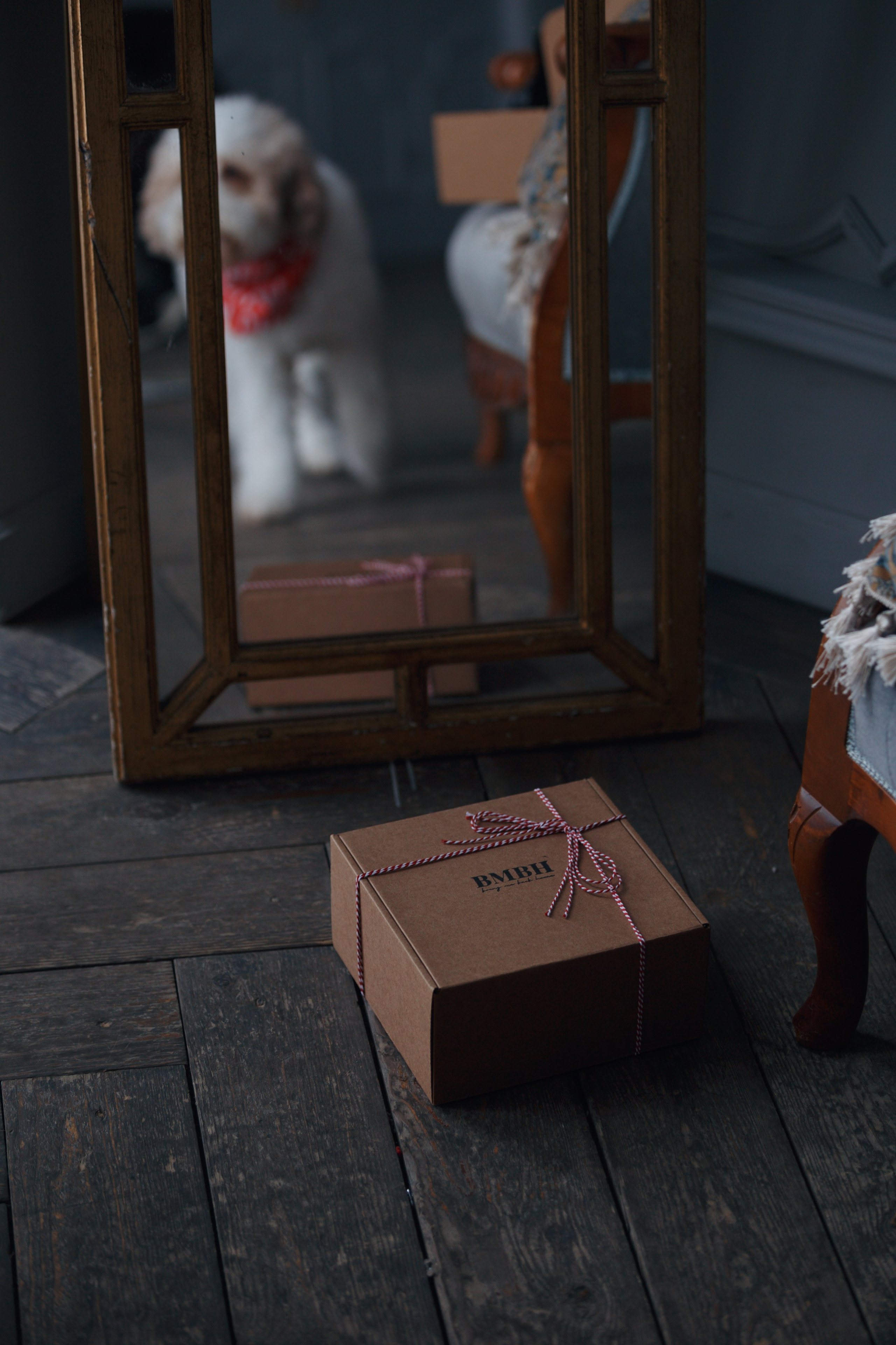 Bmbh лежанки и адресники. Фотограф анималист Кристина Карпова, Москва