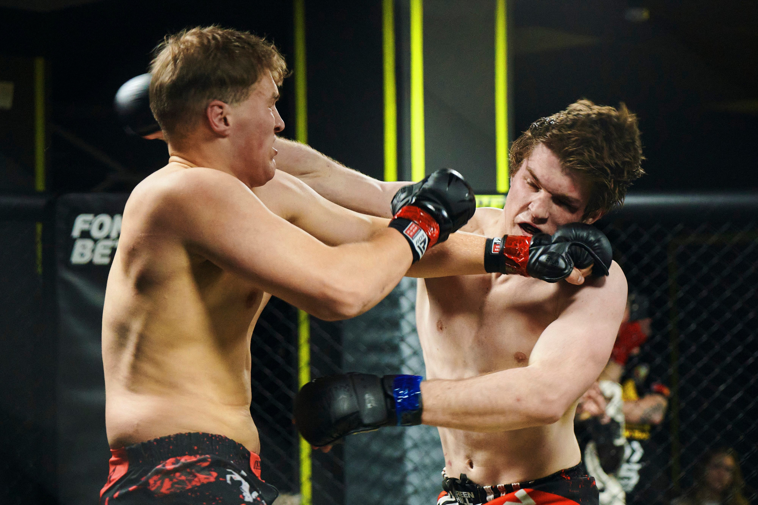 Единоборства. Главная