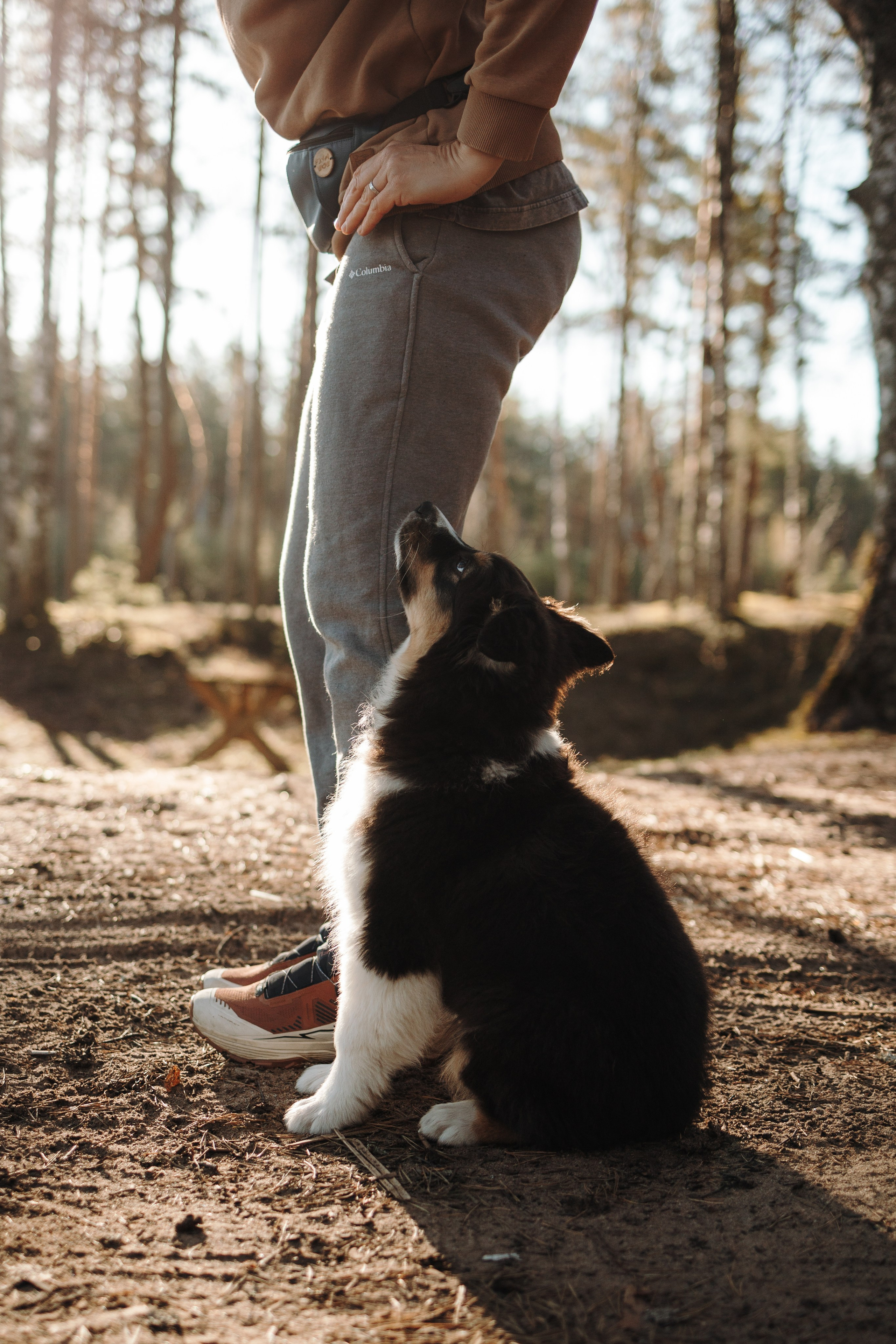 Ира и Шмель. Фотограф — Анималист | Санкт-Петербург