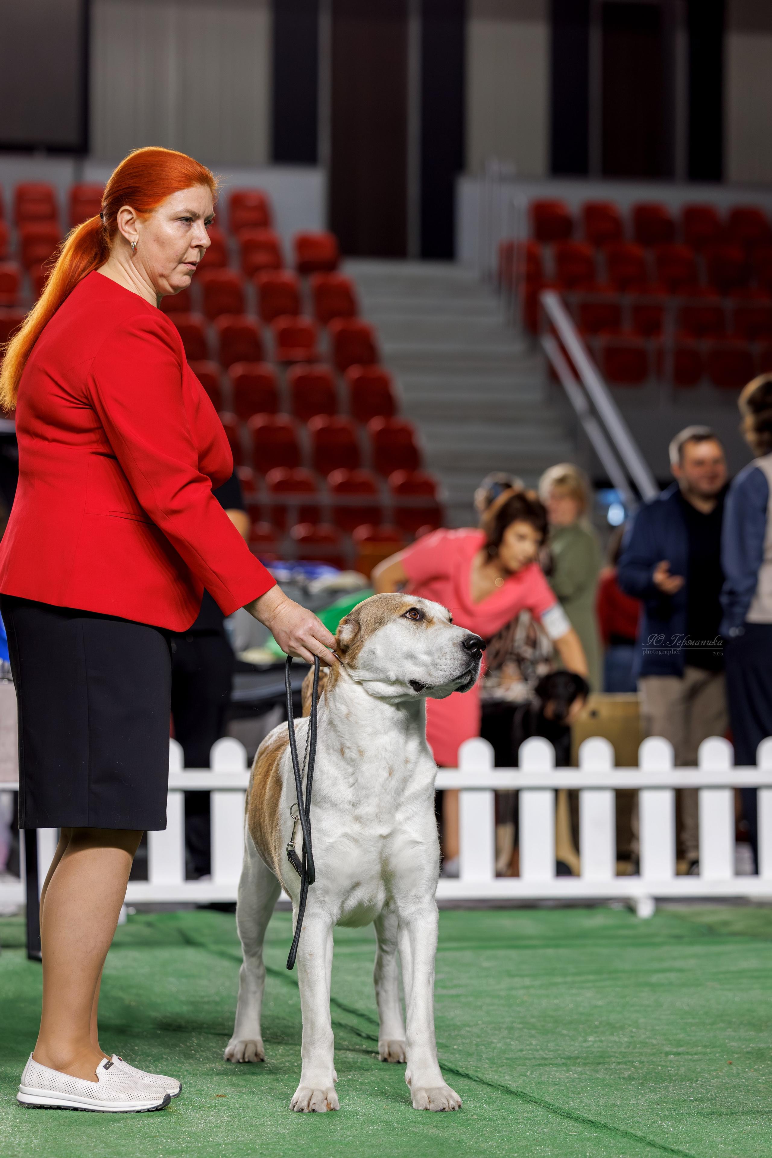 Телави 11-12.10.2025. Фотограф-анималист Юлия Германика