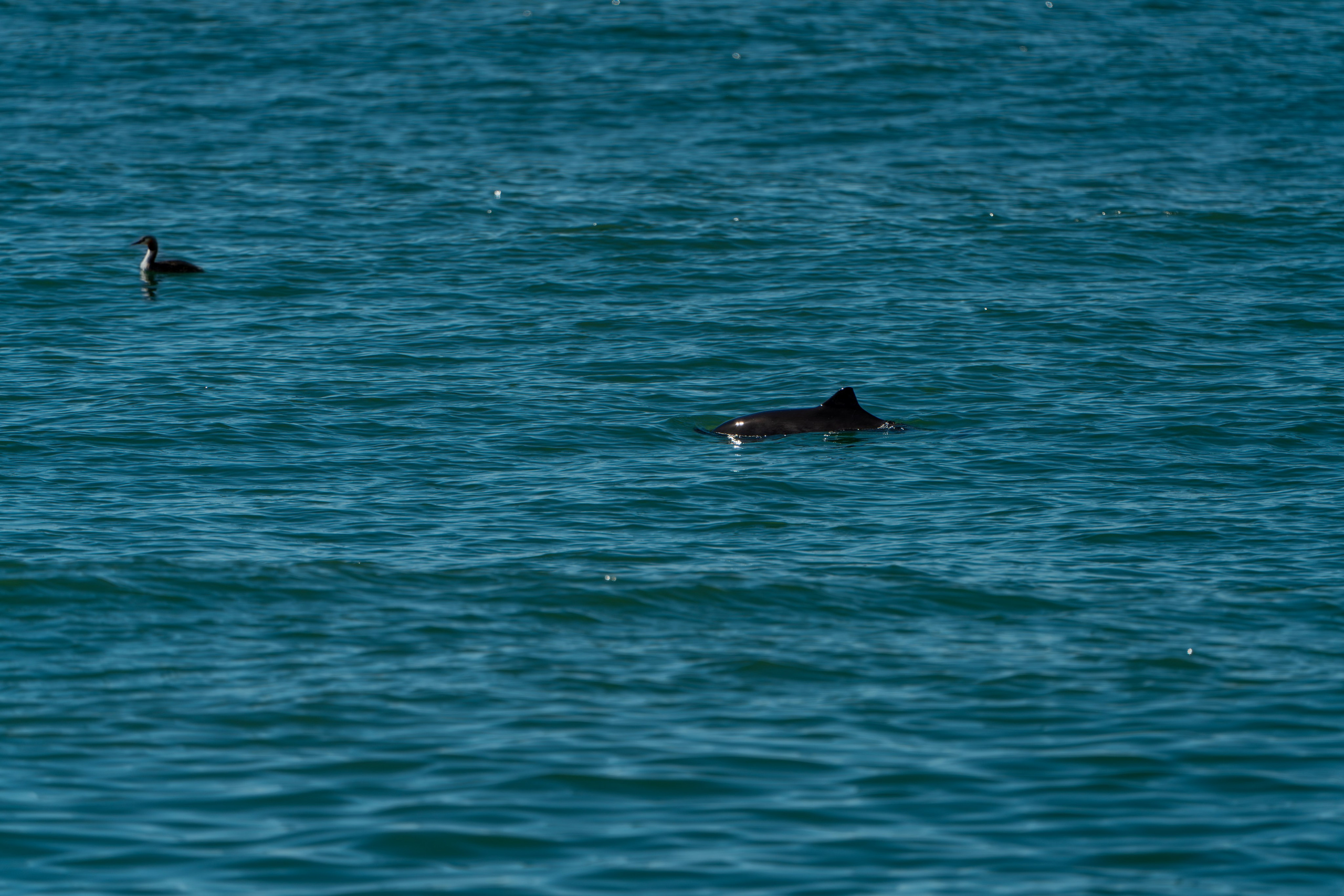 Заставки. Главная